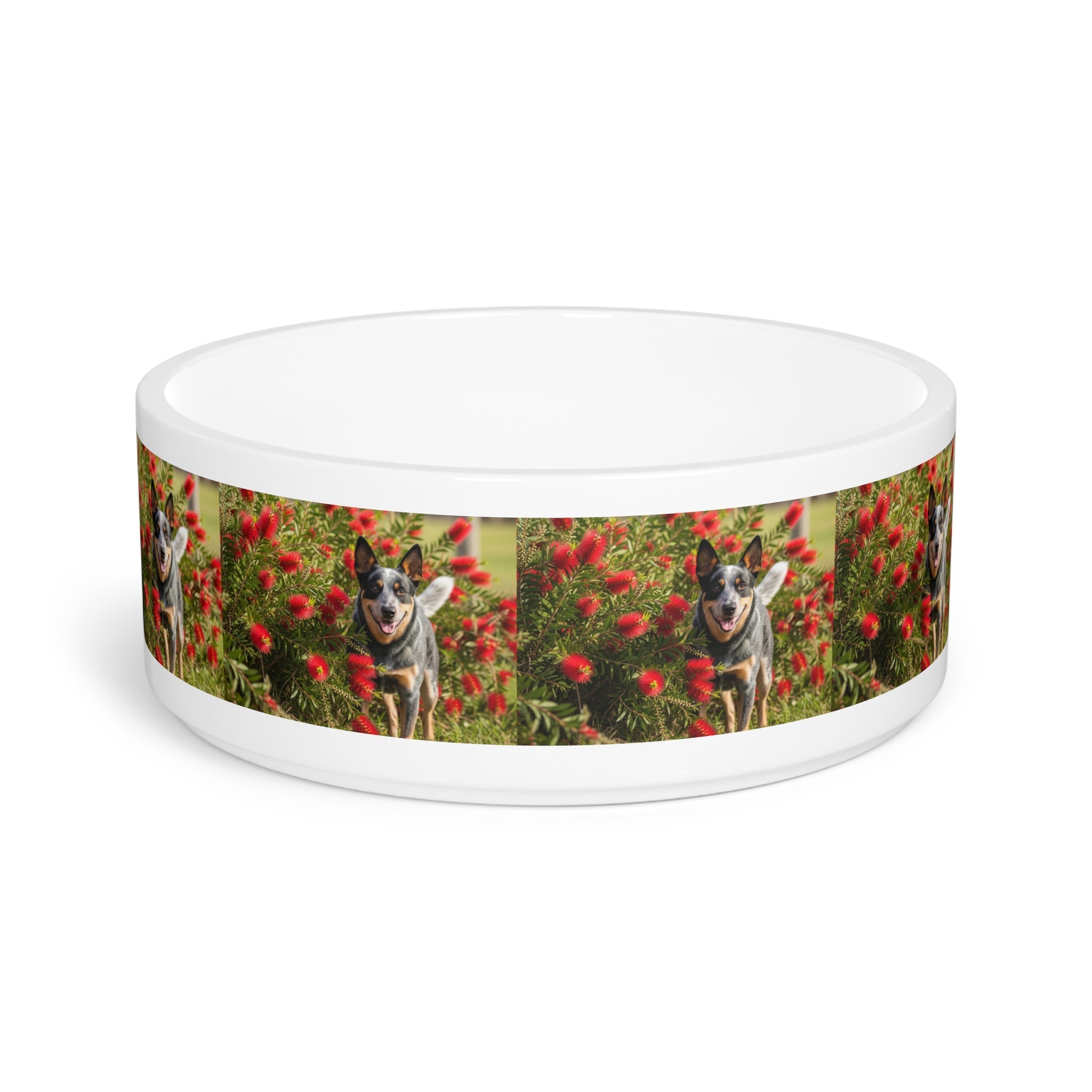 Ceramic Pet Bowl – 16 oz Dog Feeding Bowl