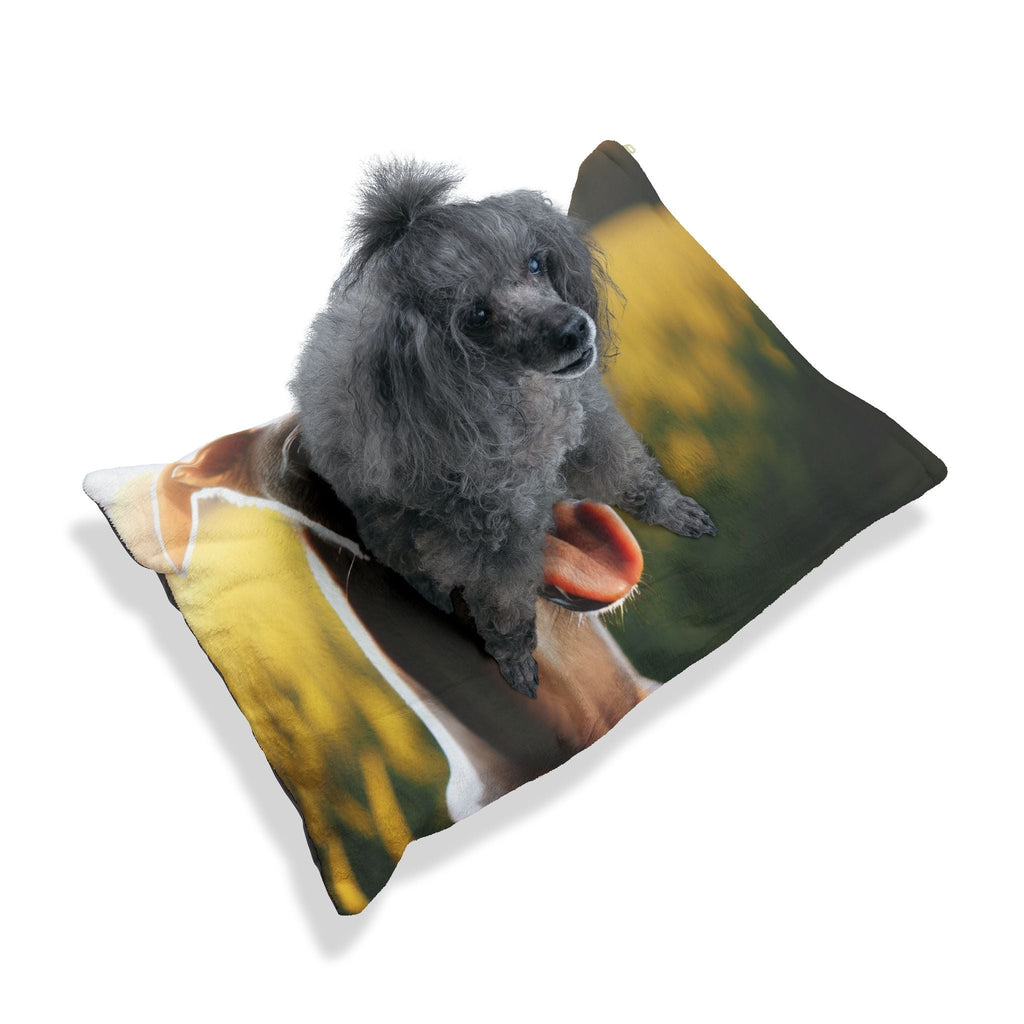 Pet Bed – Plush Dog Bed, 3 Size Options