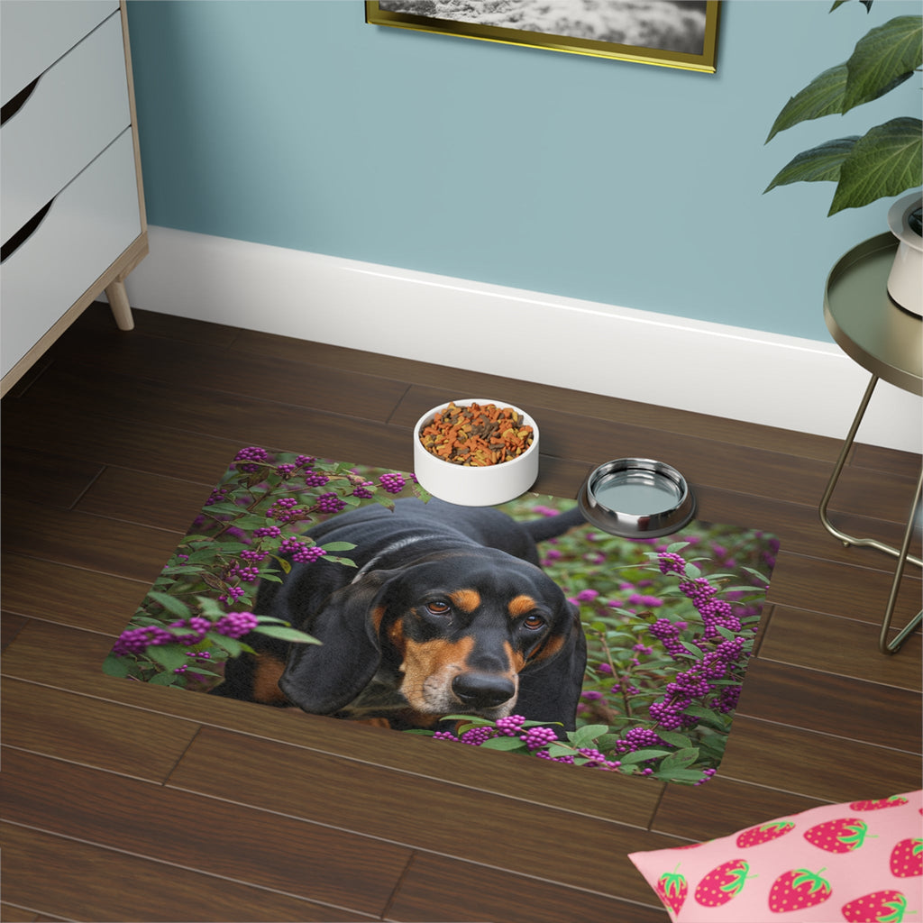Non-Slip Pet Food Mat – Waterproof Feeding Mat for Dogs