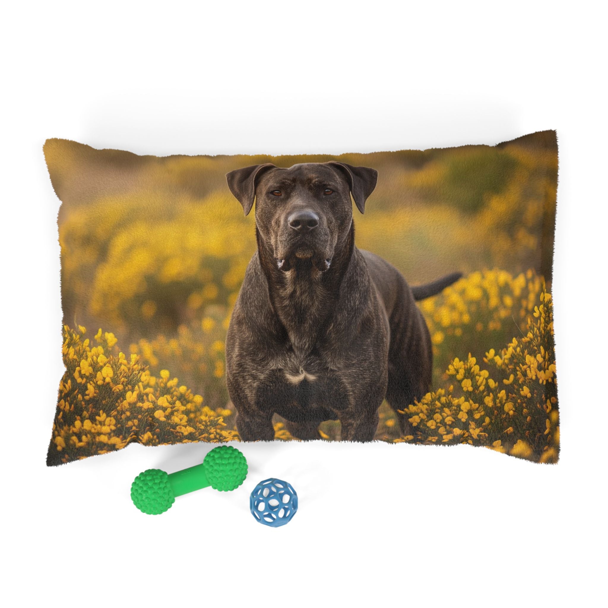 Pet Bed – Plush Dog Bed, 3 Size Options