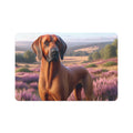 Non-Slip Pet Food Mat – Waterproof Feeding Mat for Dogs