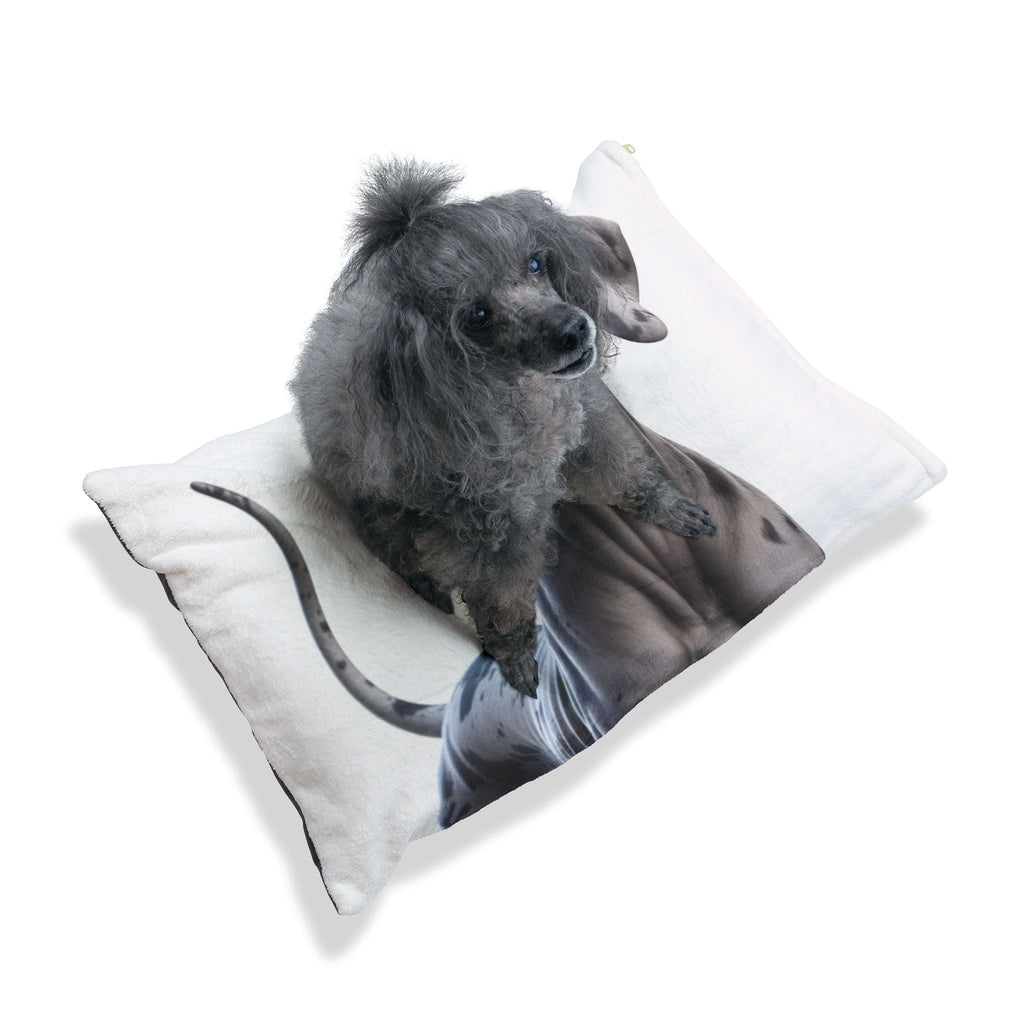 Pet Bed – Plush Dog Bed, 3 Size Options