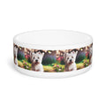 Ceramic Pet Bowl – 16 oz Dog Feeding Bowl