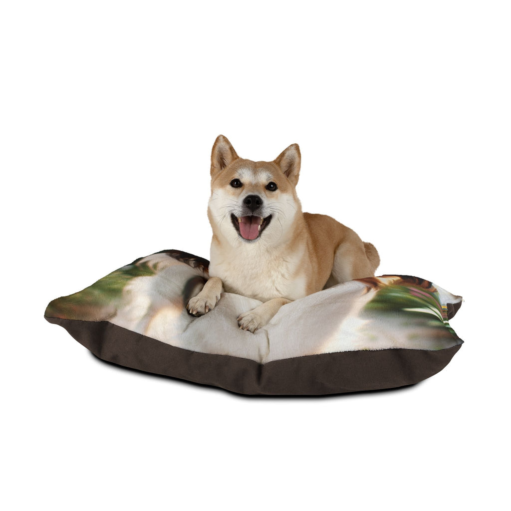 Pet Bed – Plush Dog Bed, 3 Size Options