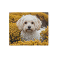 Sweatshirt Blanket – Plush Fleece Throw, 2 Size Options