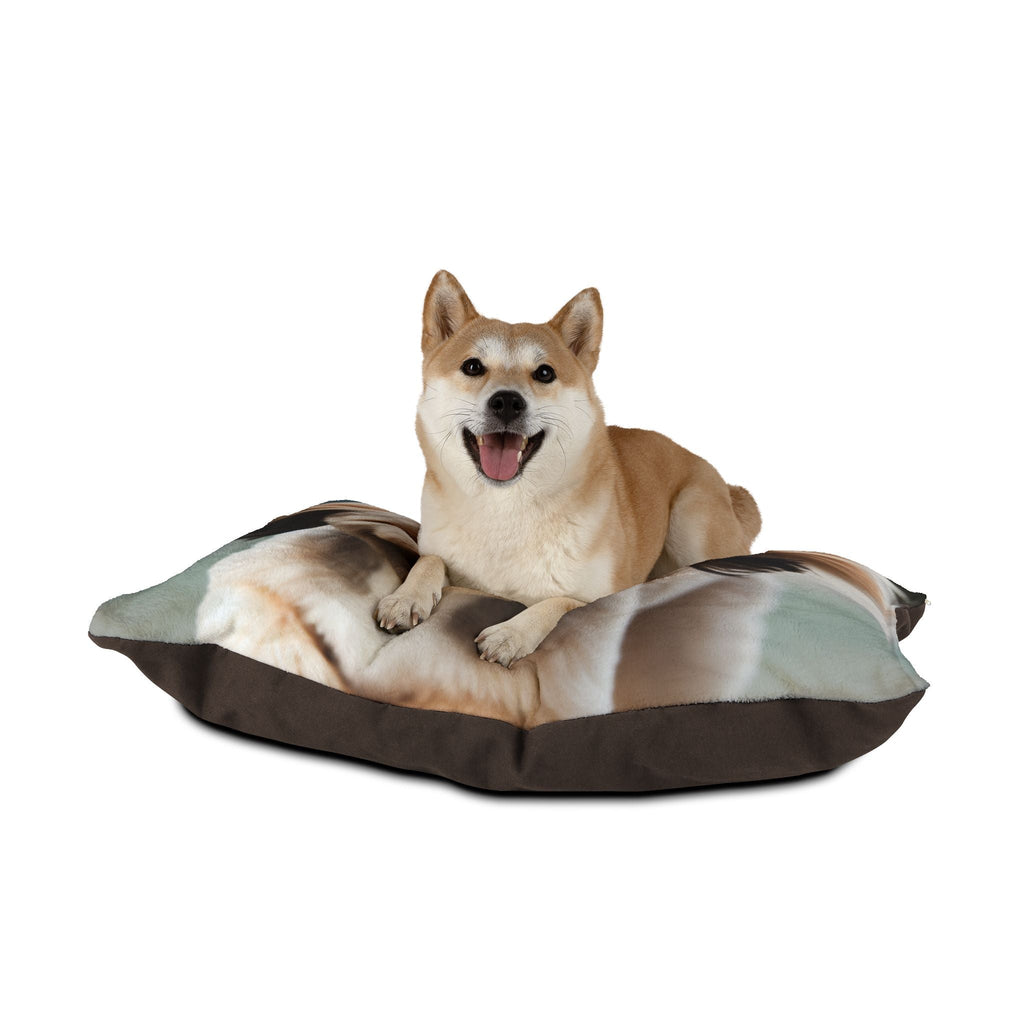 Pet Bed – Plush Dog Bed, 3 Size Options