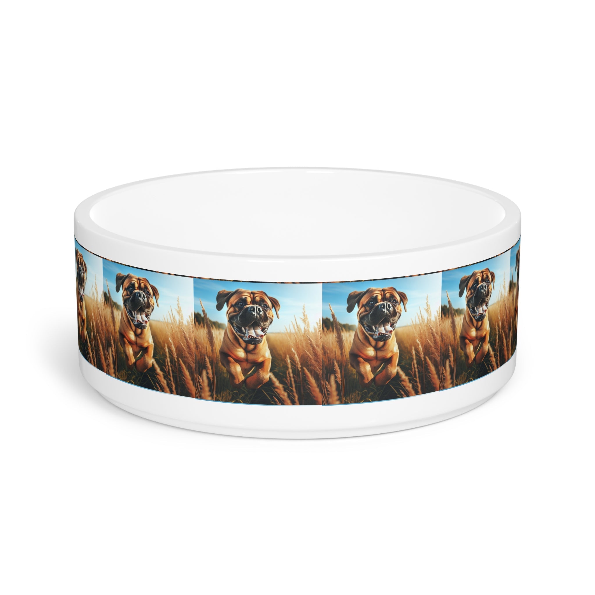 Ceramic Pet Bowl – 16 oz Dog Feeding Bowl