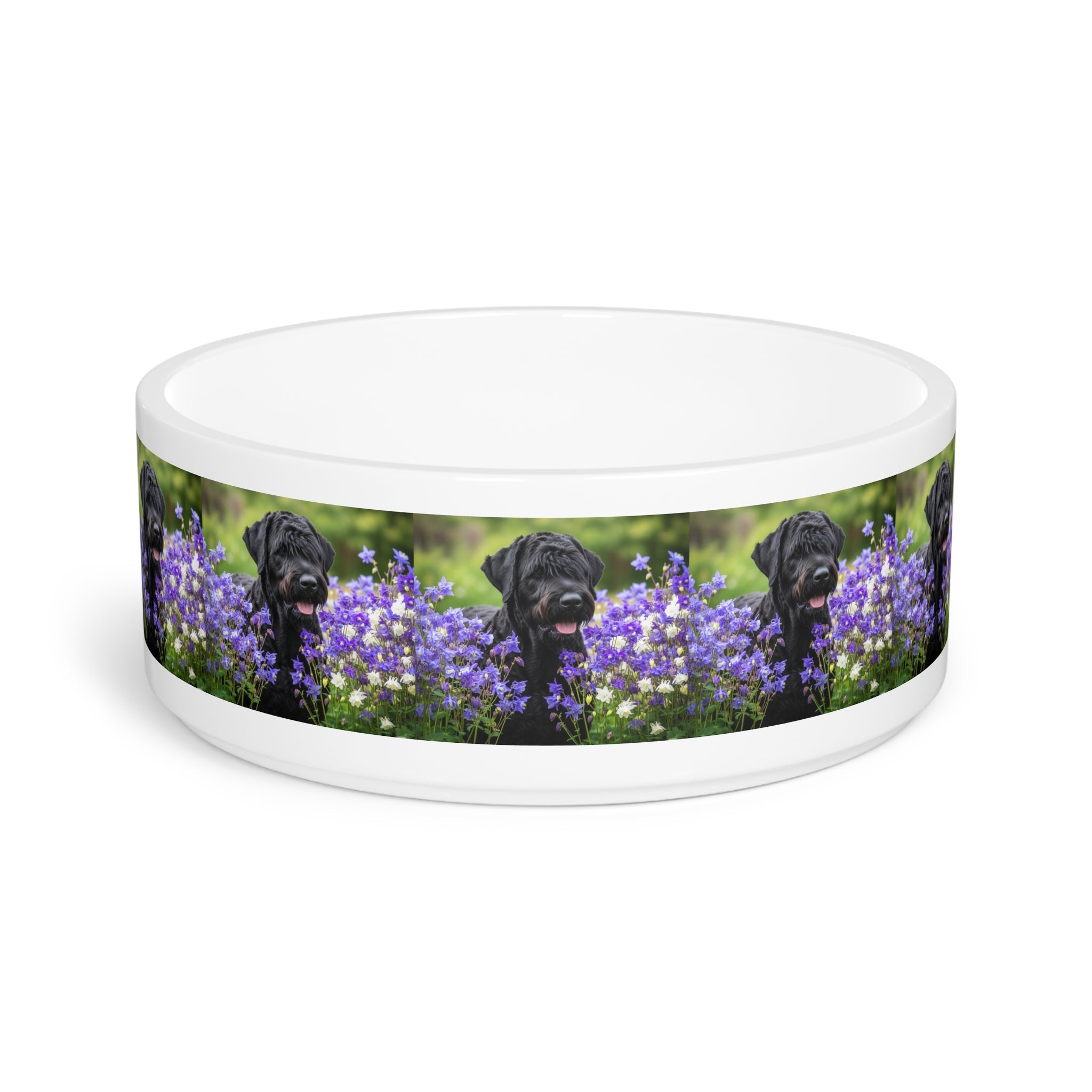Ceramic Pet Bowl – 16 oz Dog Feeding Bowl