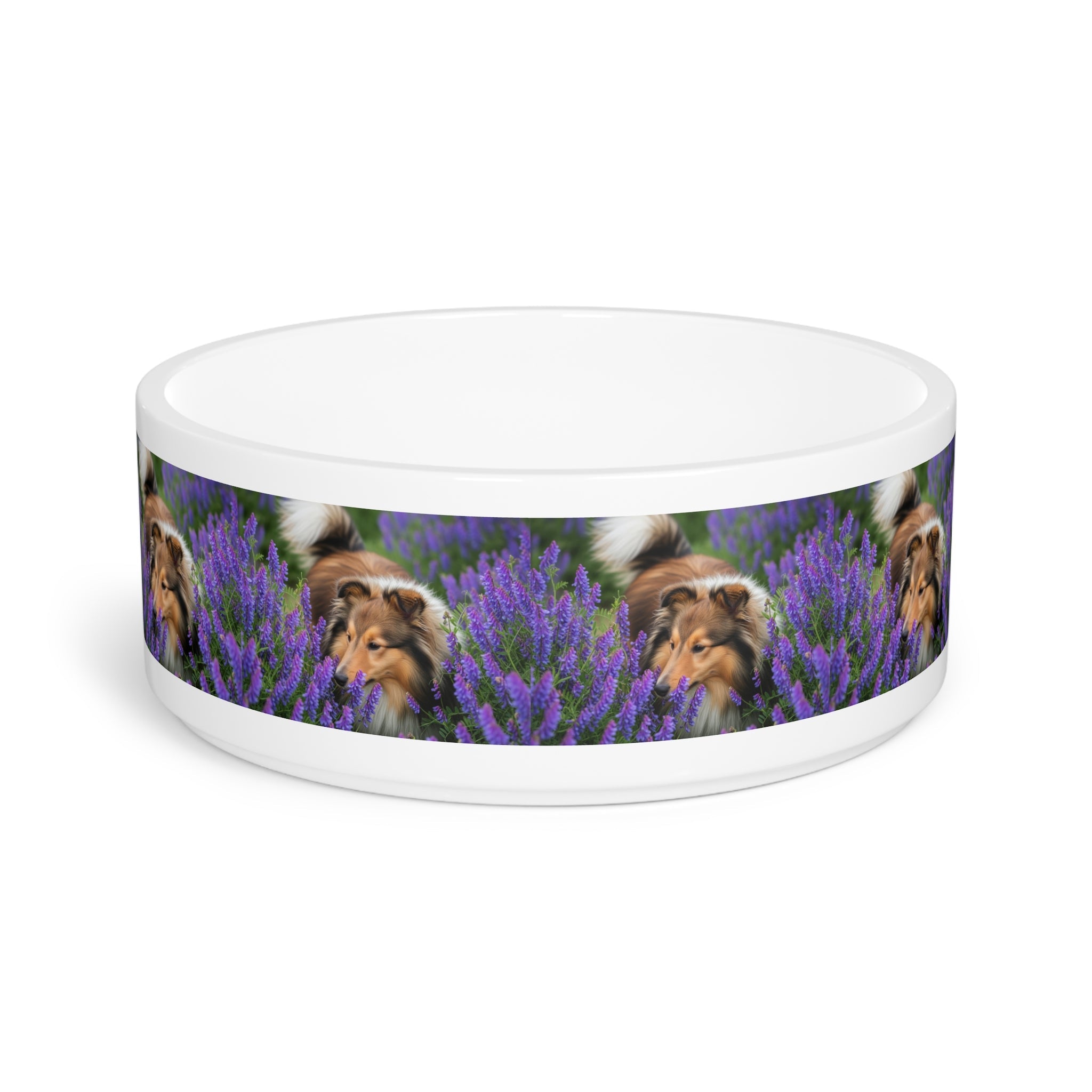Ceramic Pet Bowl – 16 oz Dog Feeding Bowl