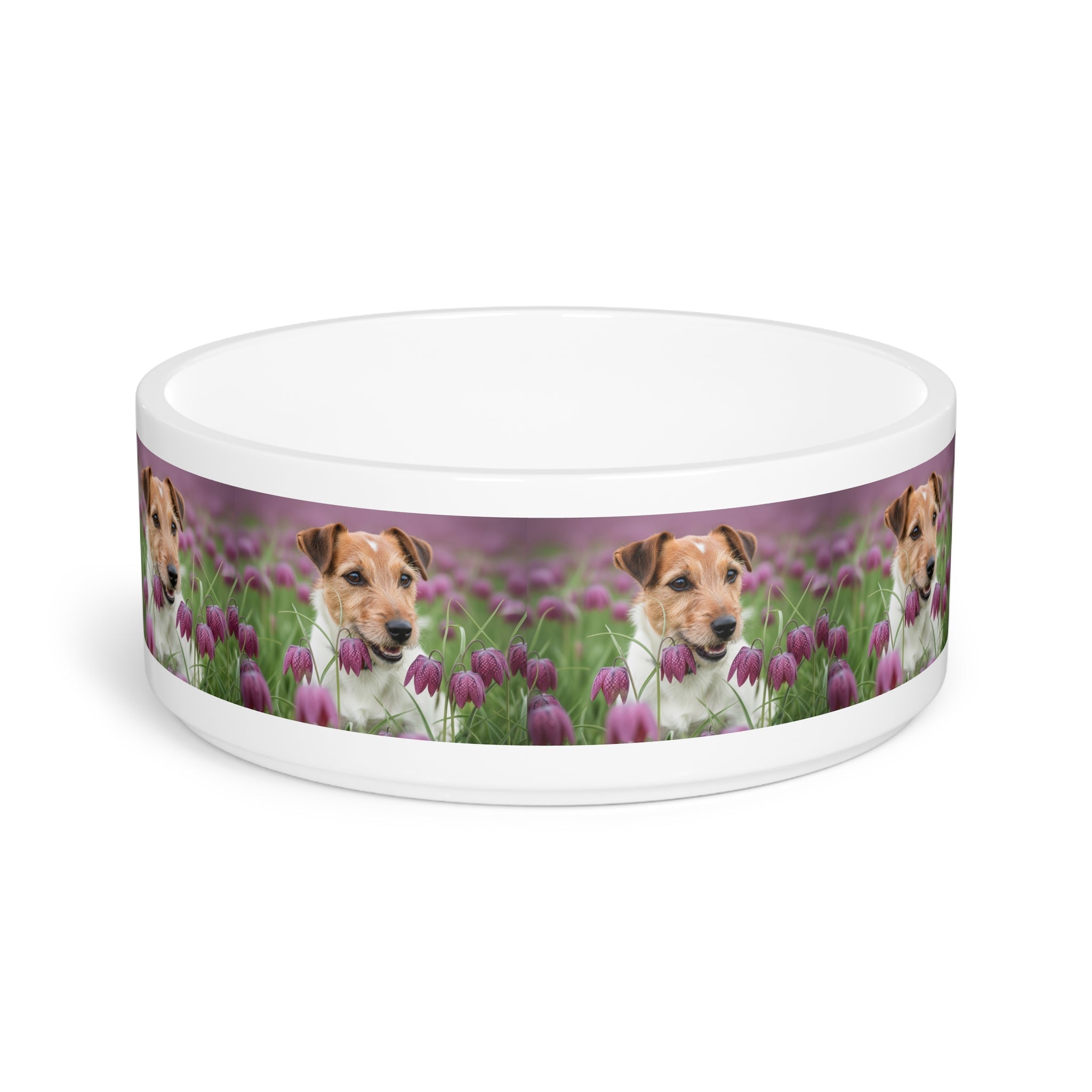 Ceramic Pet Bowl – 16 oz Dog Feeding Bowl