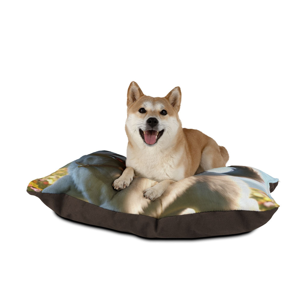 Pet Bed – Plush Dog Bed, 3 Size Options