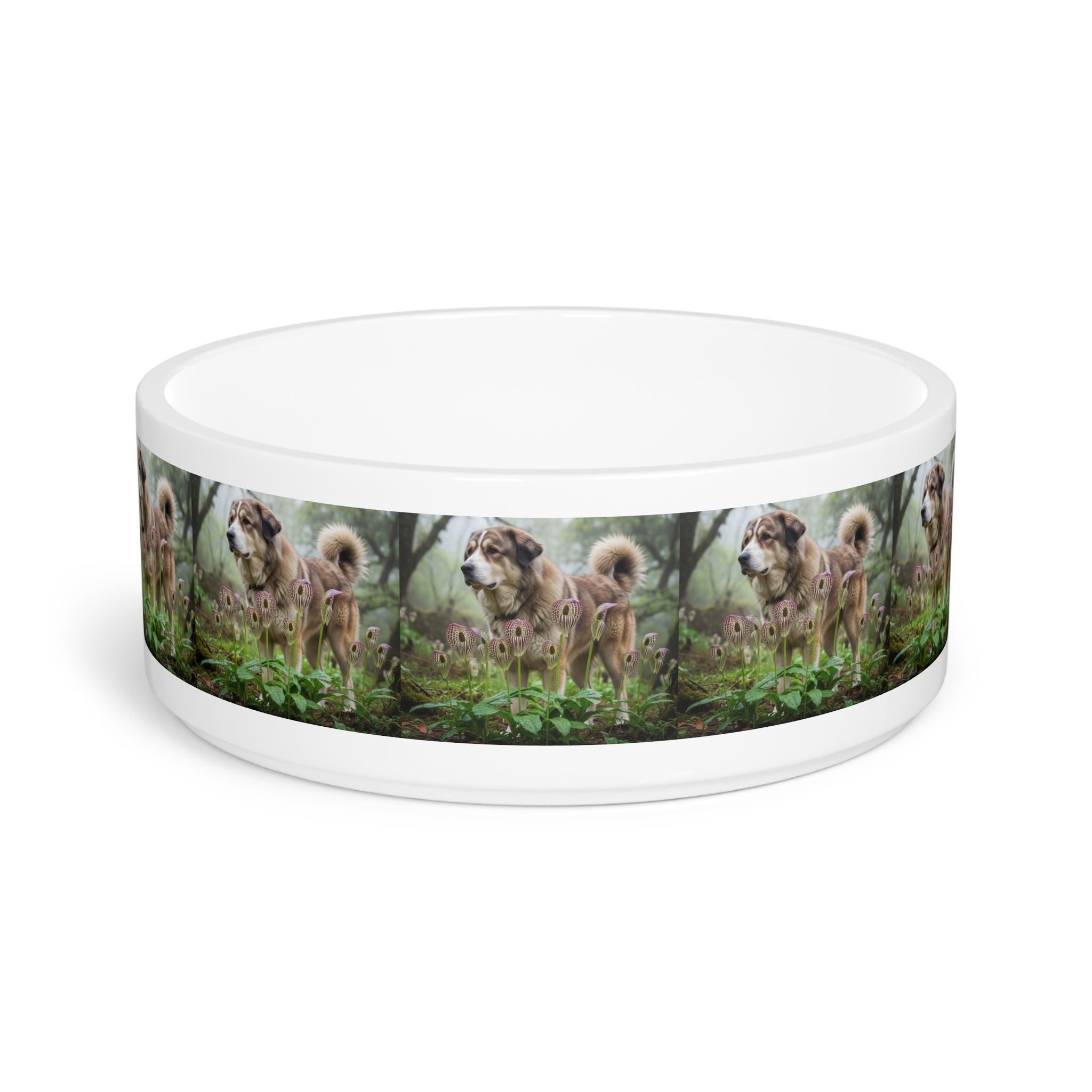 Ceramic Pet Bowl – 16 oz Dog Feeding Bowl