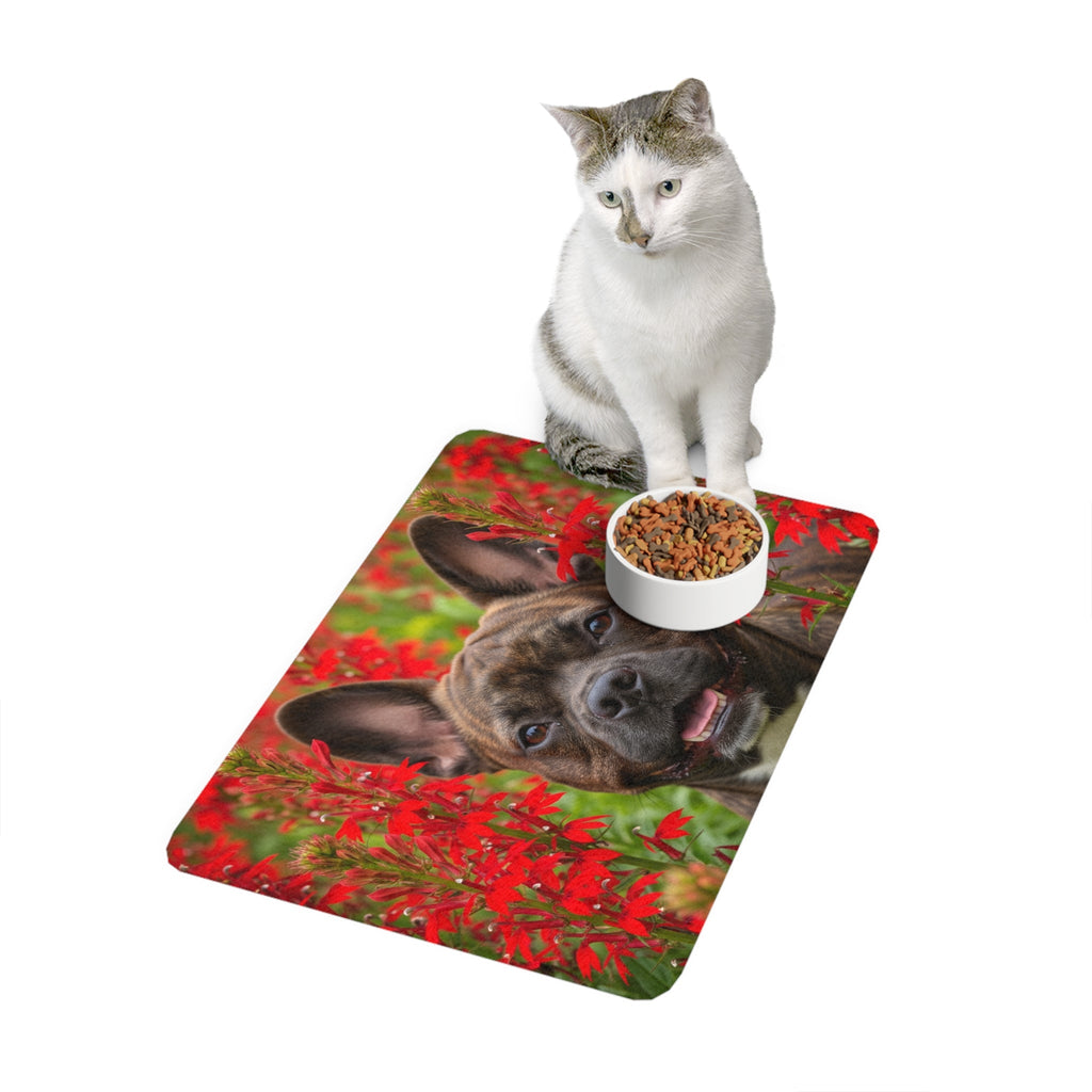Non-Slip Pet Food Mat – Waterproof Feeding Mat for Dogs