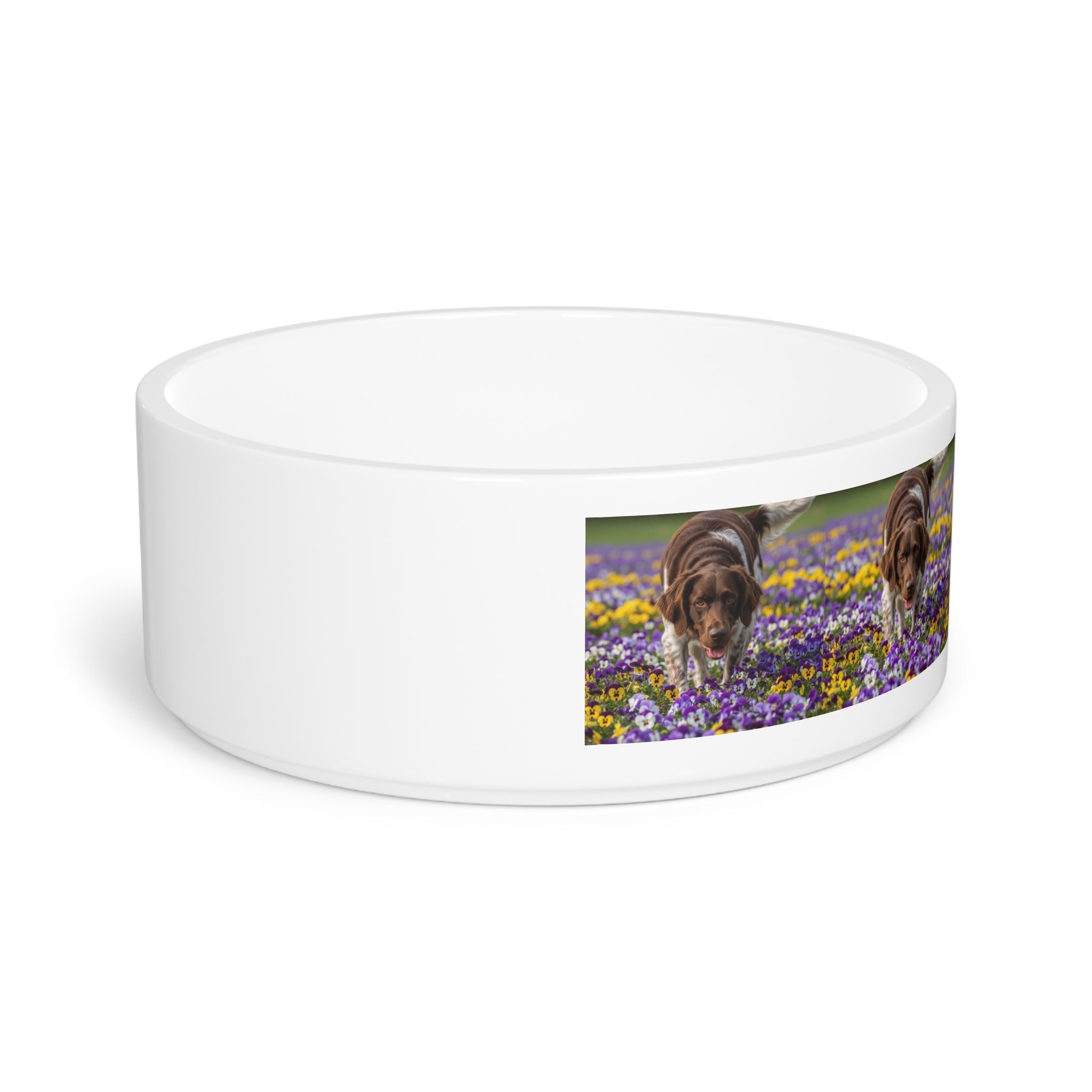 Ceramic Pet Bowl – 16 oz Dog Feeding Bowl