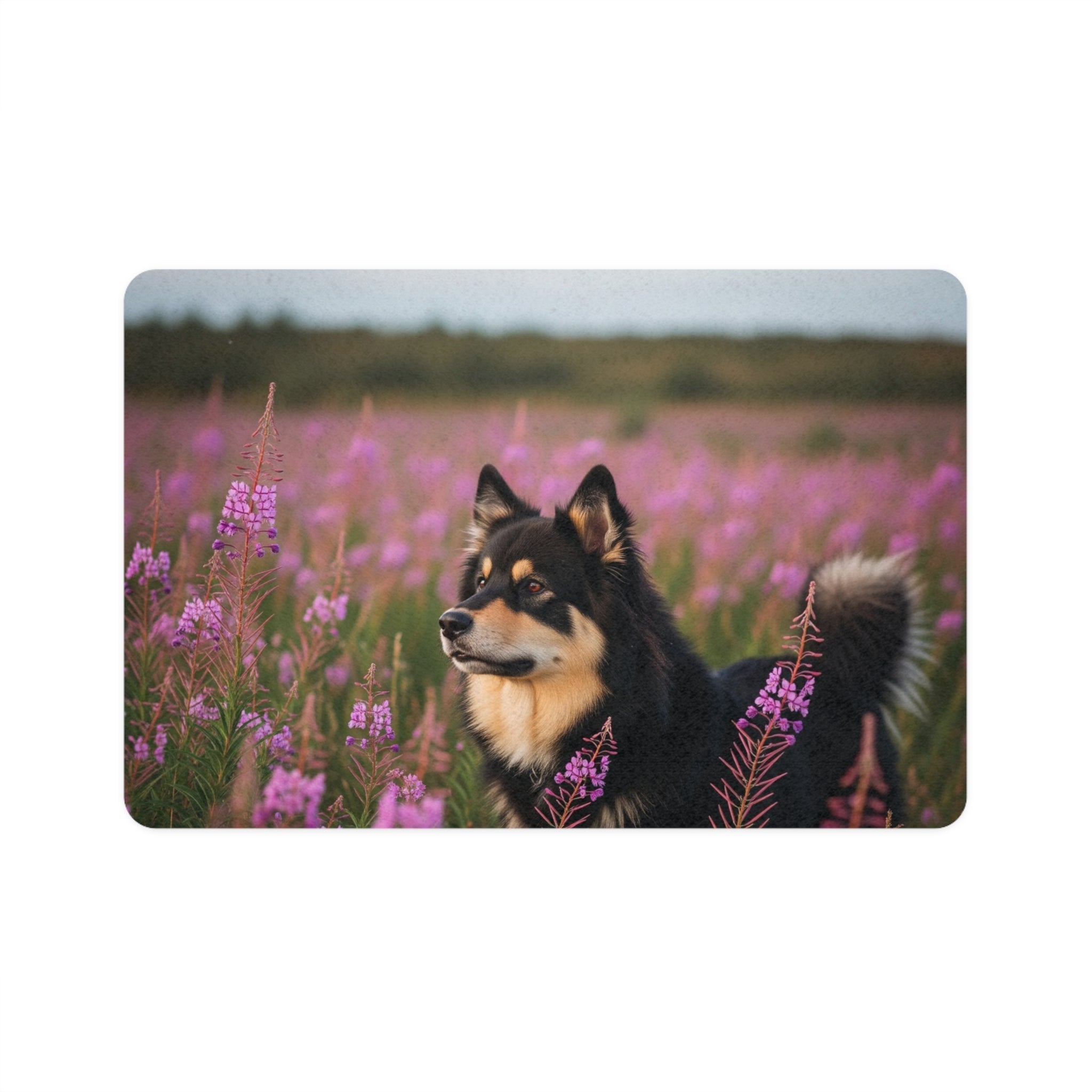 Non-Slip Pet Food Mat – Waterproof Feeding Mat for Dogs