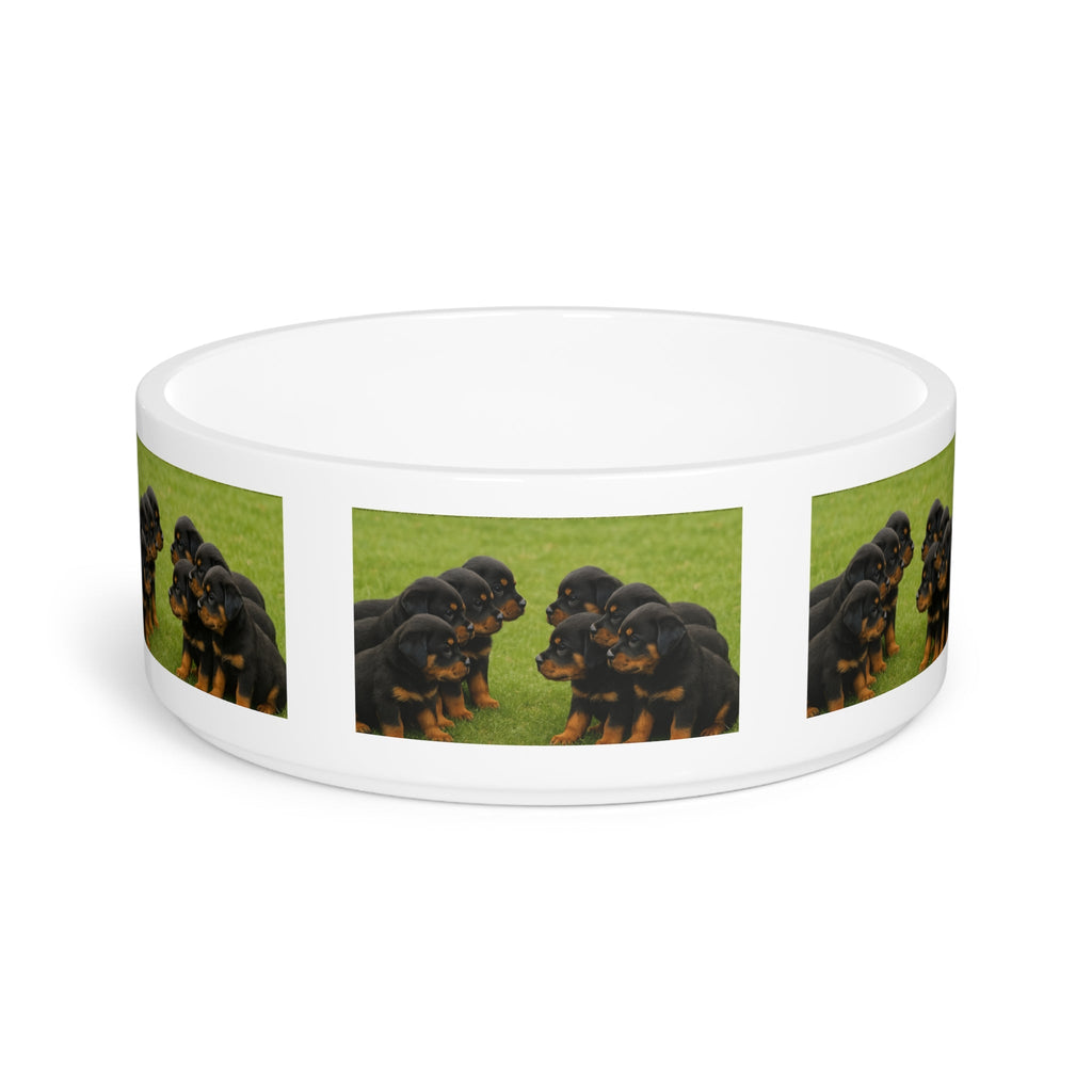Ceramic Pet Bowl – 16 oz Dog Feeding Bowl