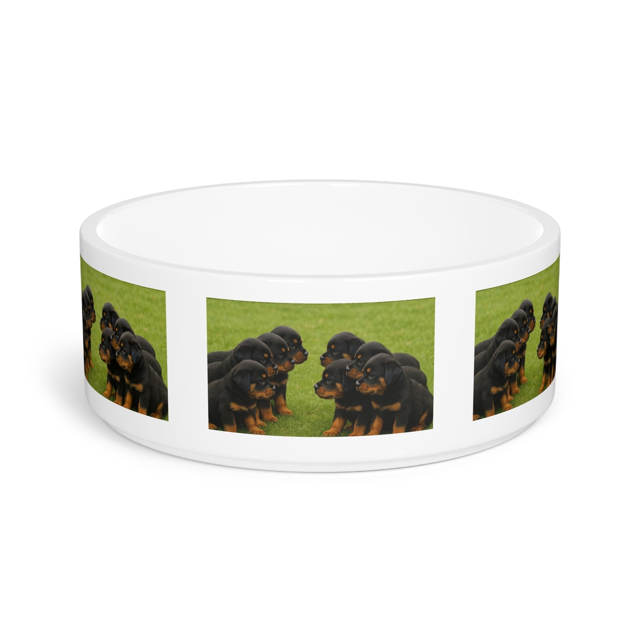 Ceramic Pet Bowl – 16 oz Dog Feeding Bowl
