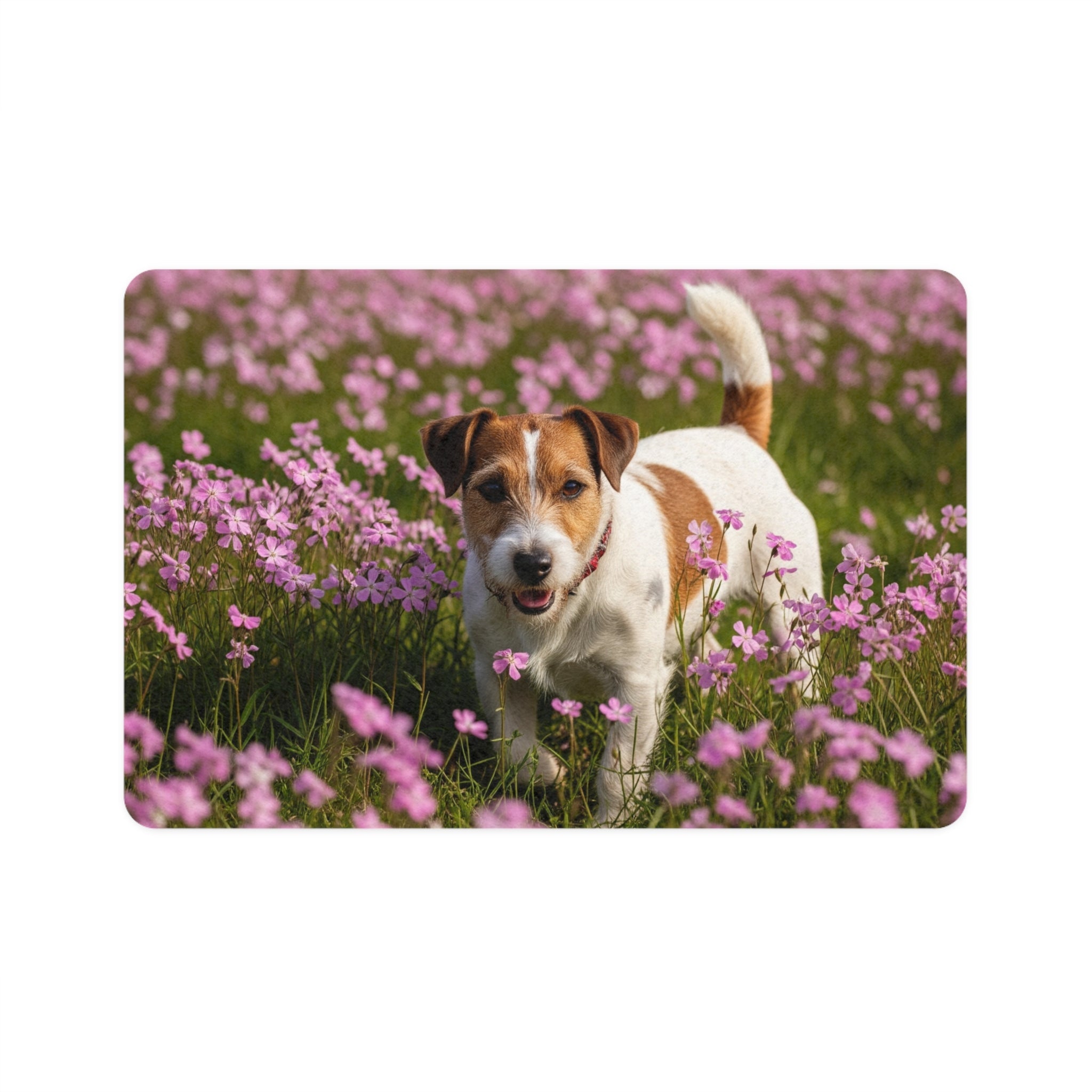 Non-Slip Pet Food Mat – Waterproof Feeding Mat for Dogs