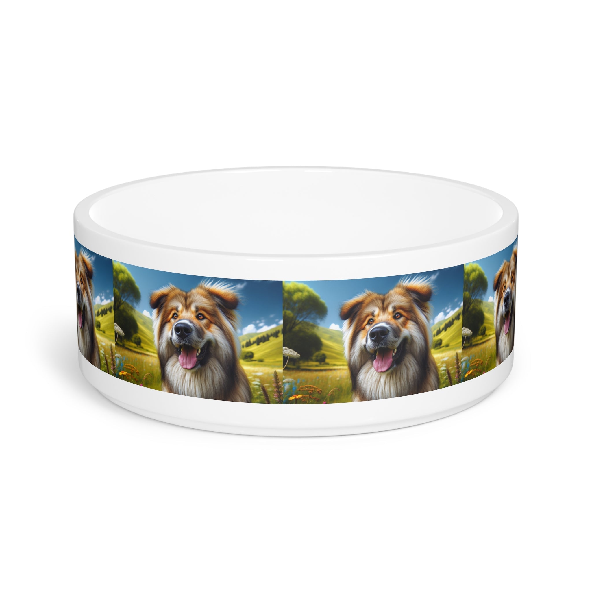 Ceramic Pet Bowl – 16 oz Dog Feeding Bowl