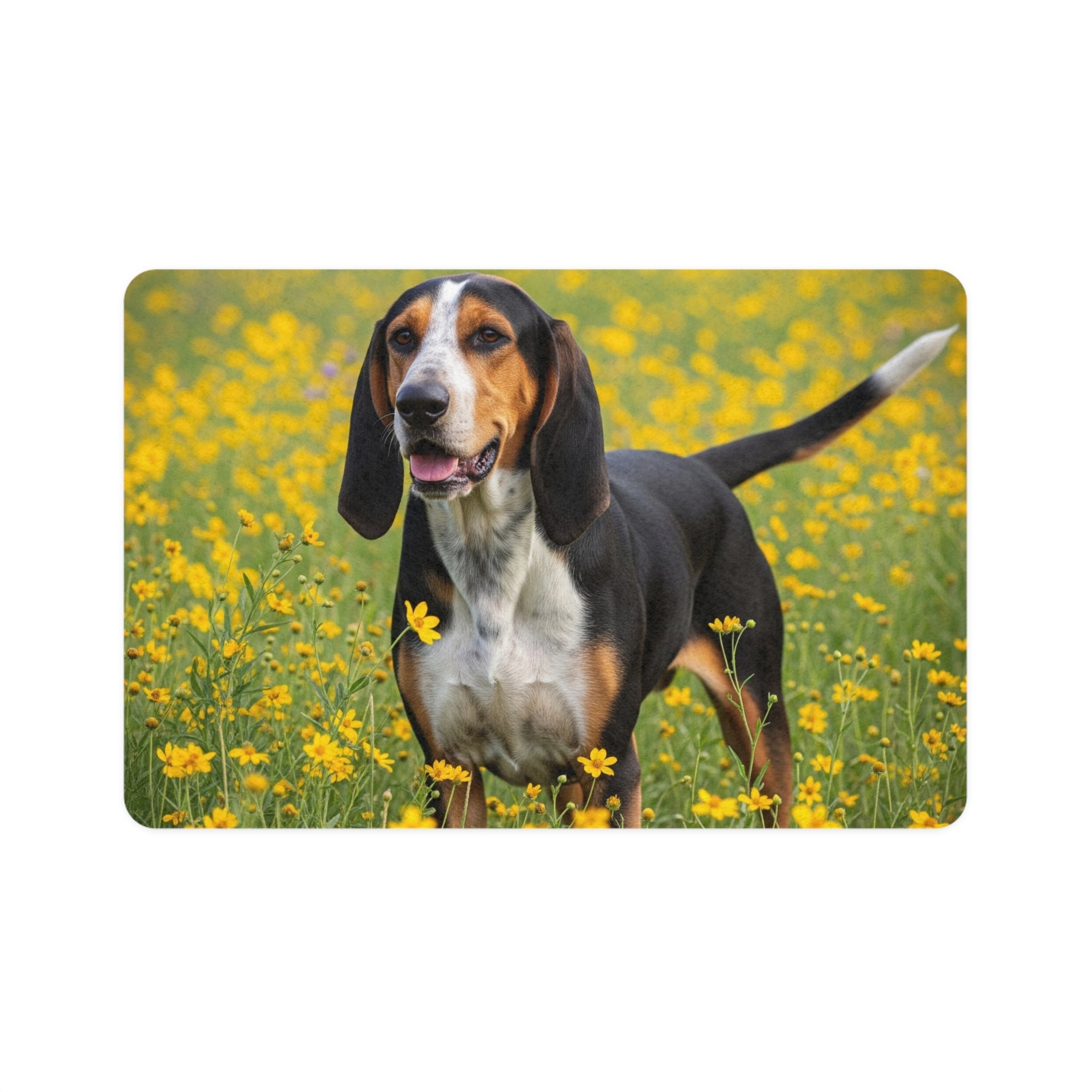 Non-Slip Pet Food Mat – Waterproof Feeding Mat for Dogs