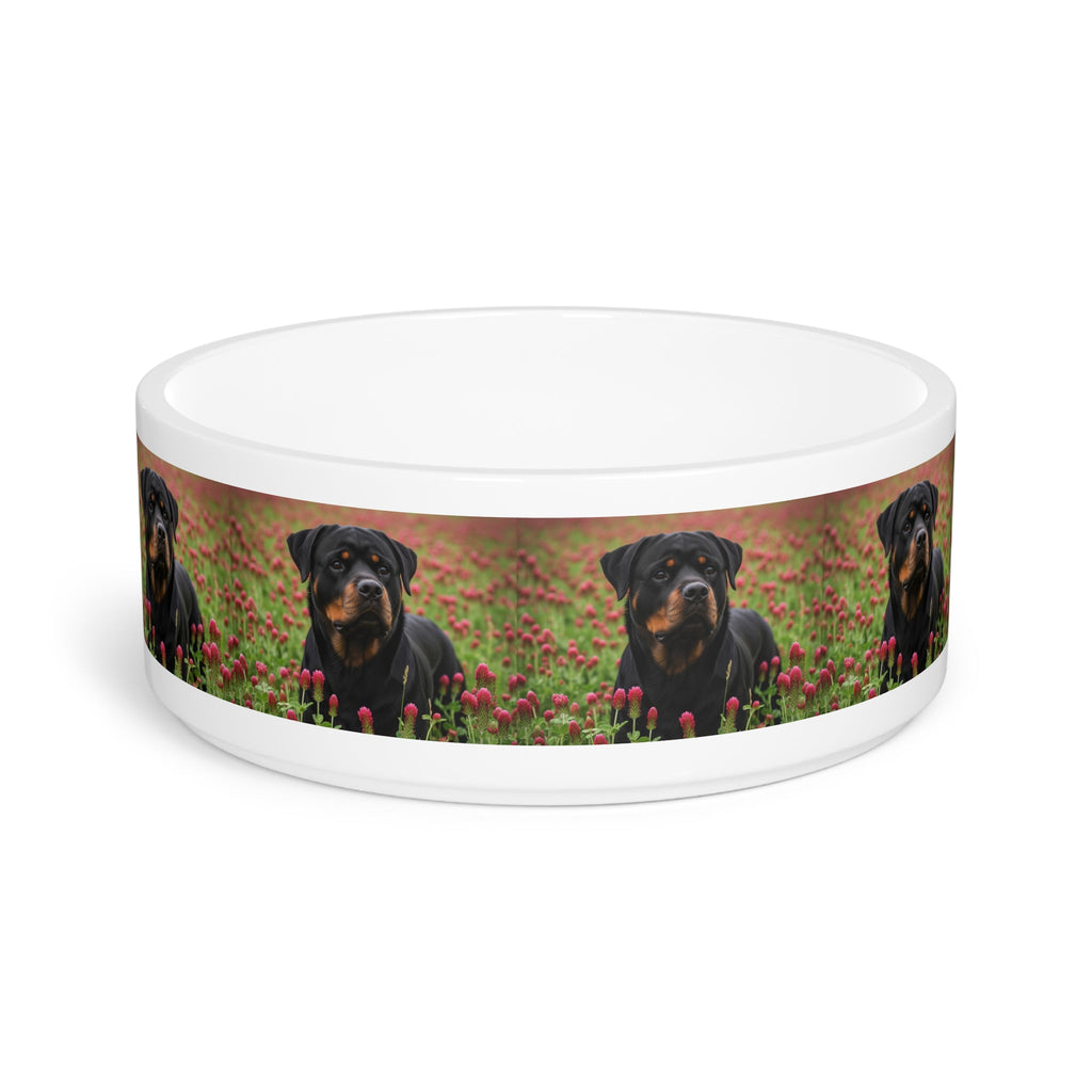 Ceramic Pet Bowl – 16 oz Dog Feeding Bowl