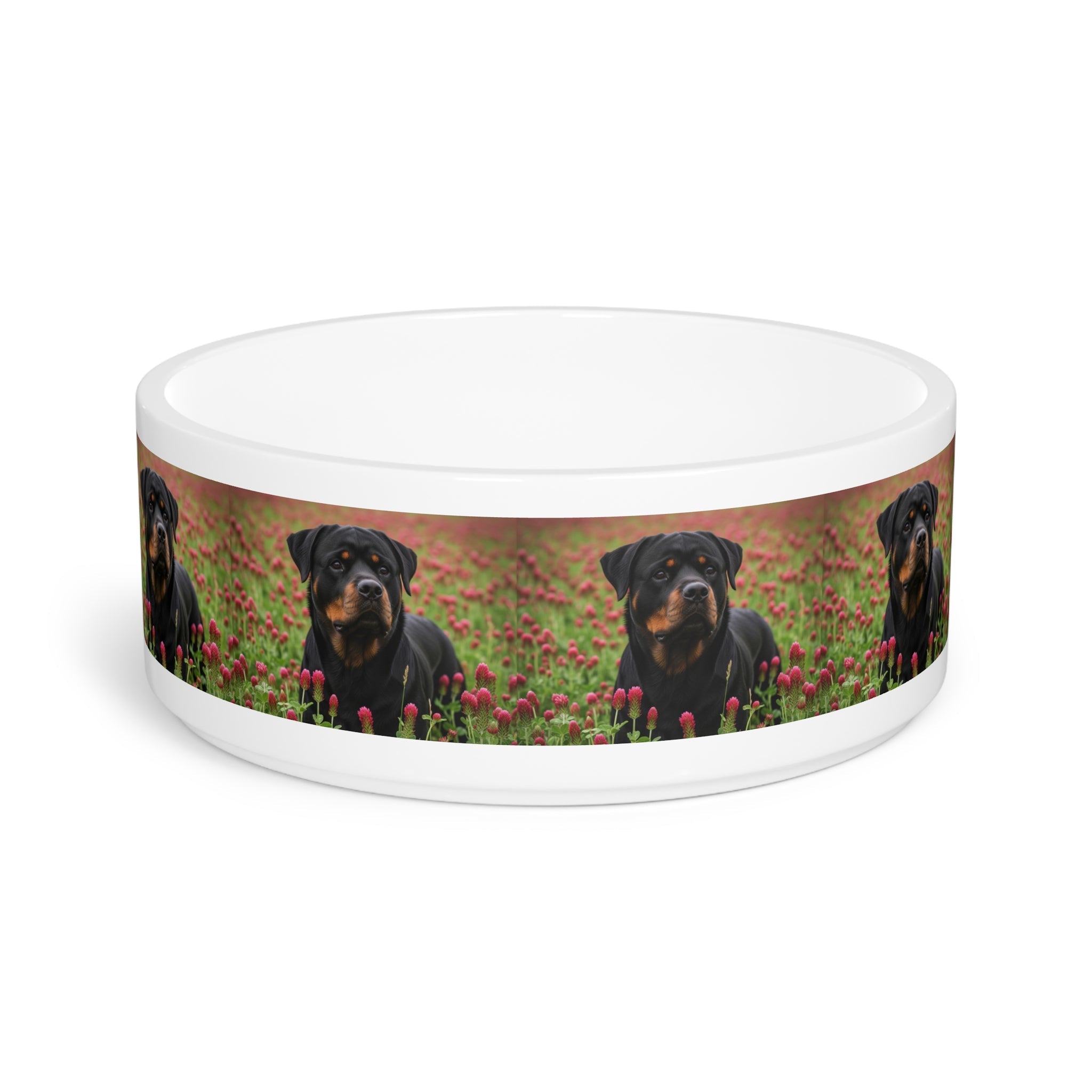 Ceramic Pet Bowl – 16 oz Dog Feeding Bowl