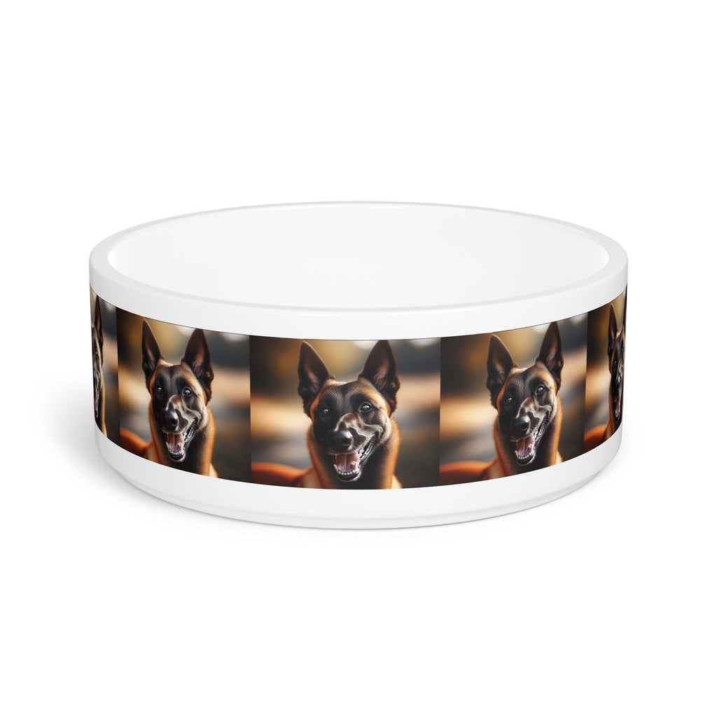 Ceramic Pet Bowl – 16 oz Dog Feeding Bowl