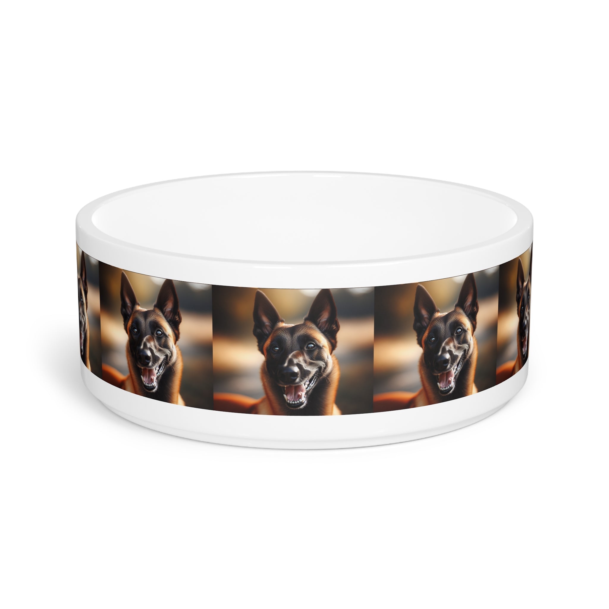 Ceramic Pet Bowl – 16 oz Dog Feeding Bowl