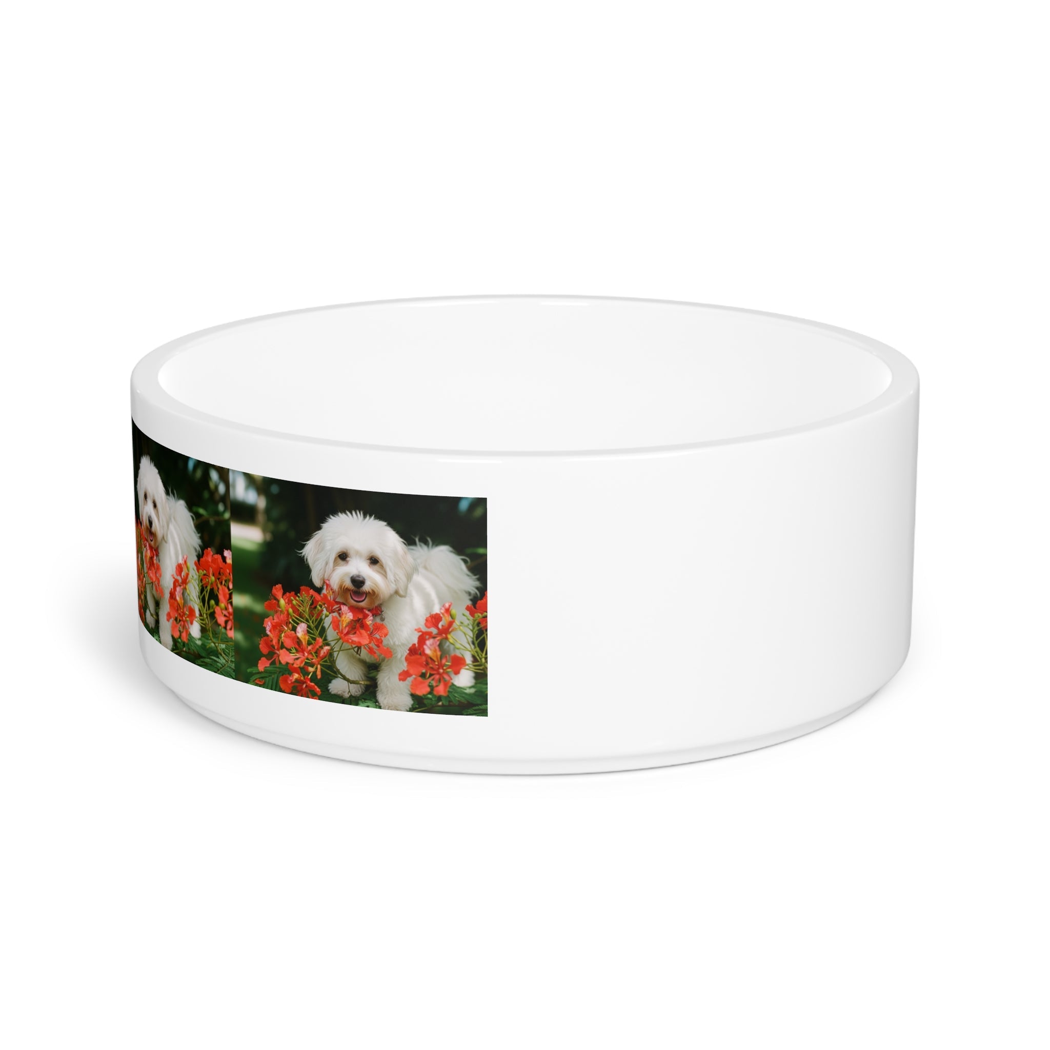 Ceramic Pet Bowl – 16 oz Dog Feeding Bowl