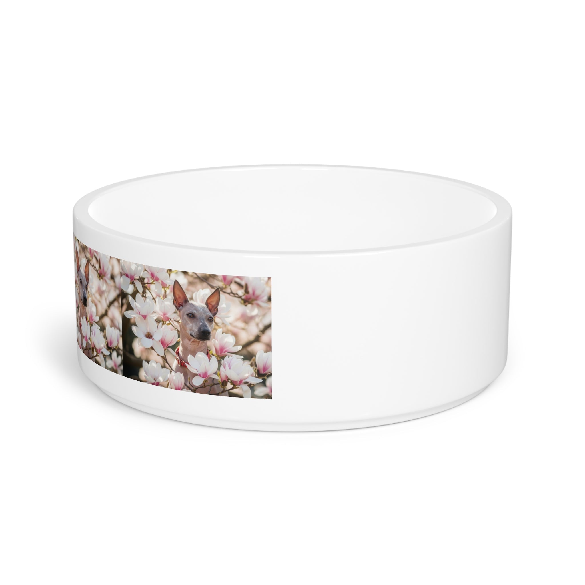 Ceramic Pet Bowl – 16 oz Dog Feeding Bowl