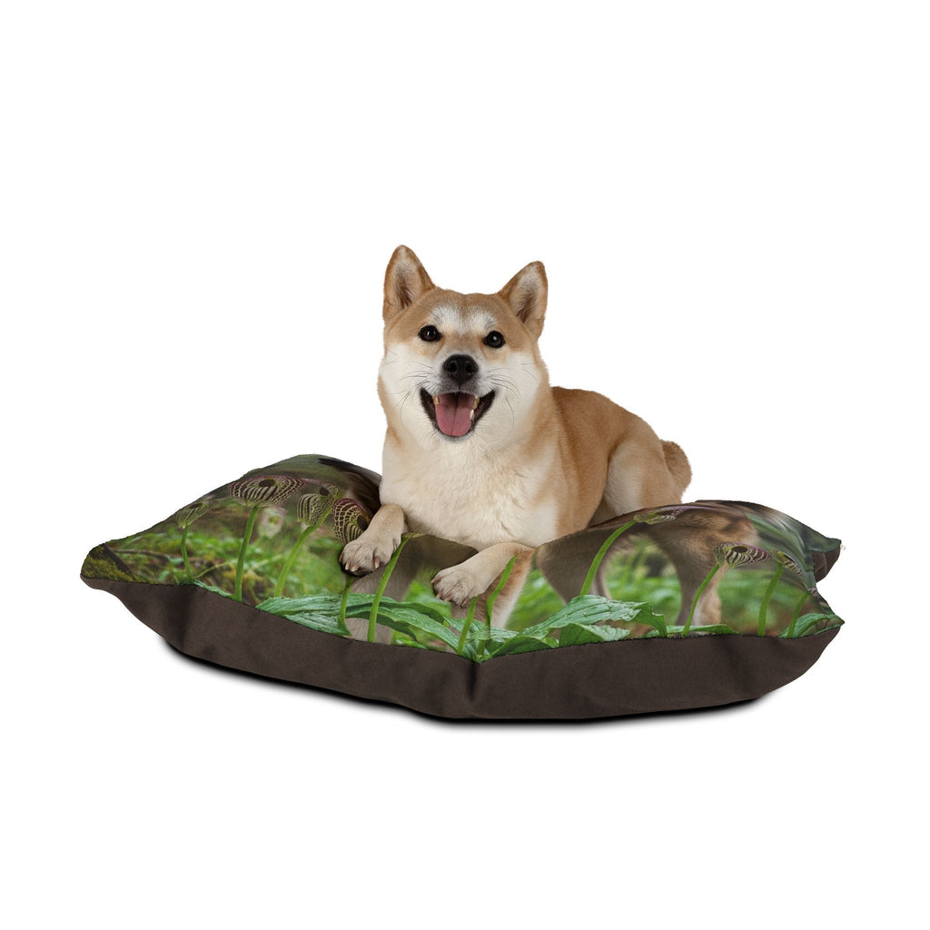 Pet Bed – Plush Dog Bed, 3 Size Options