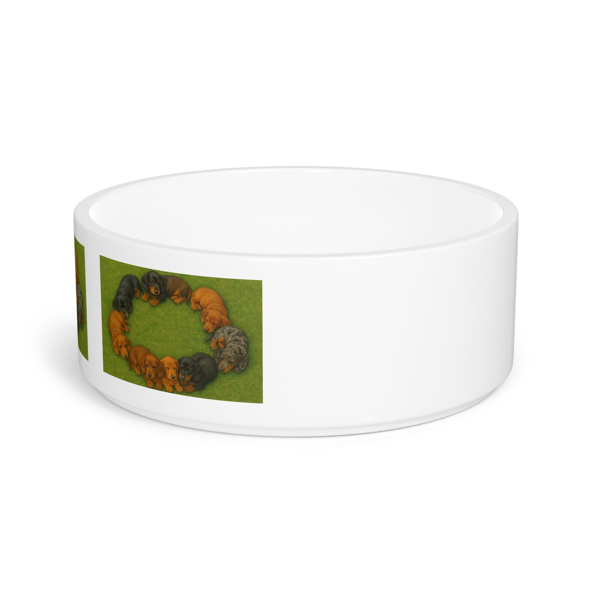 Ceramic Pet Bowl – 16 oz Dog Feeding Bowl
