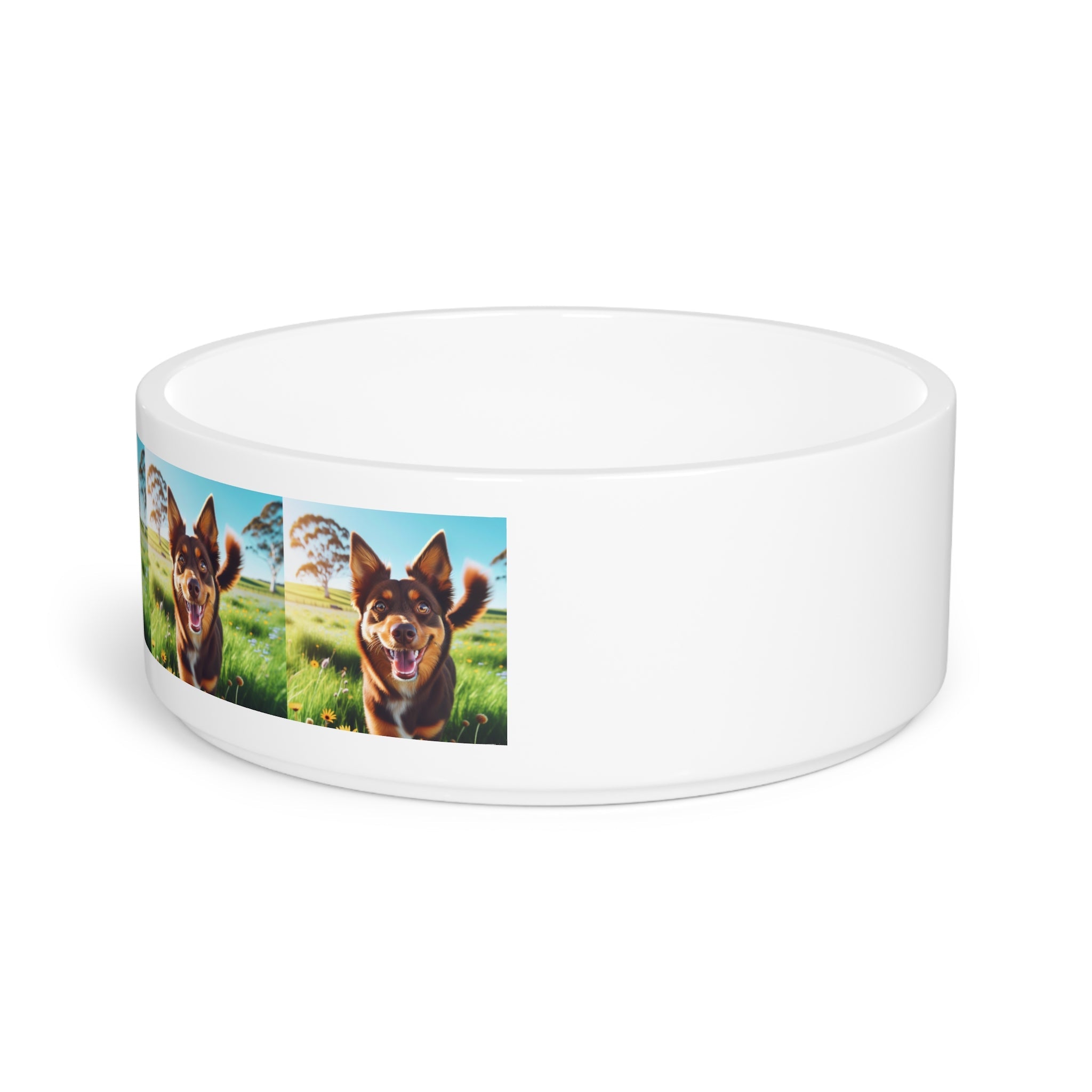 Ceramic Pet Bowl – 16 oz Dog Feeding Bowl