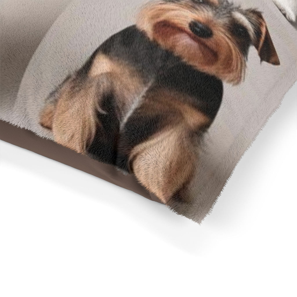 Pet Bed – Plush Dog Bed, 3 Size Options
