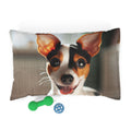 Pet Bed – Plush Dog Bed, 3 Size Options