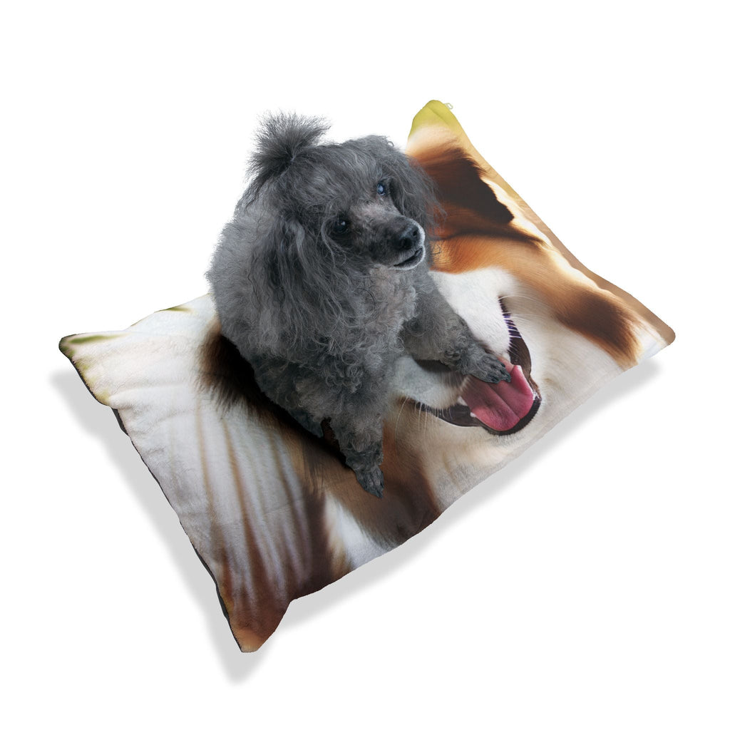 Pet Bed – Plush Dog Bed, 3 Size Options