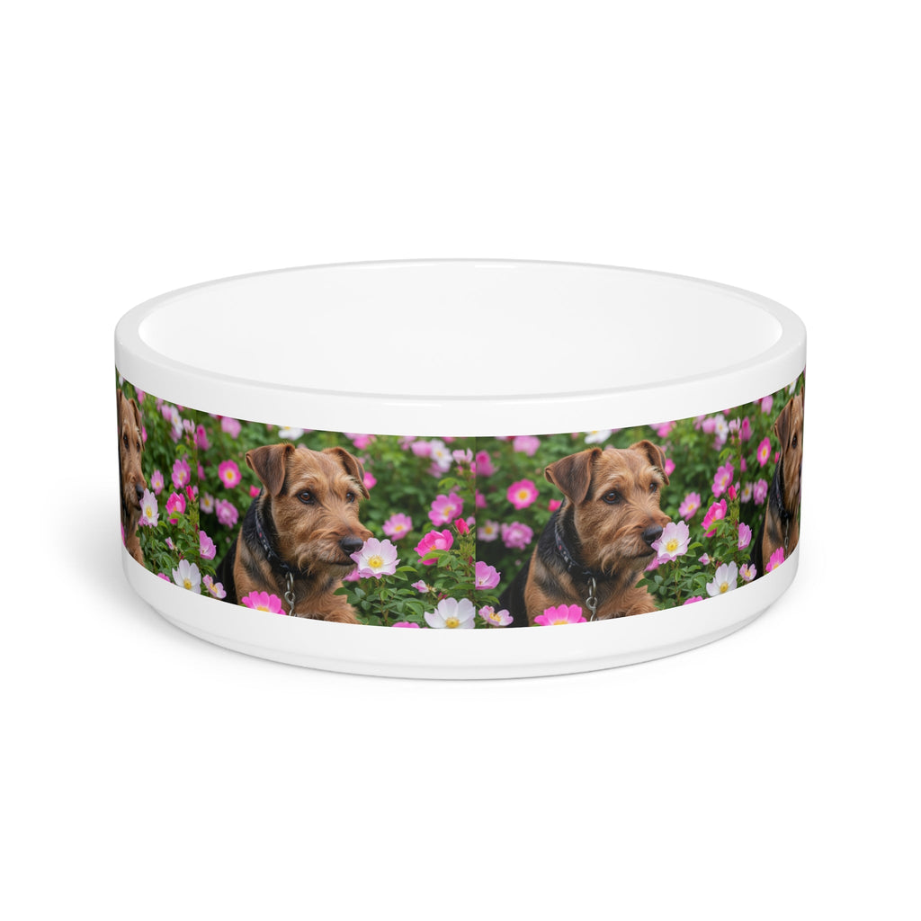 Ceramic Pet Bowl – 16 oz Dog Feeding Bowl