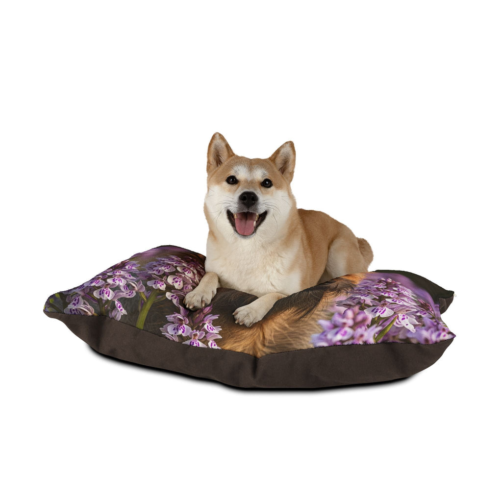 Pet Bed – Plush Dog Bed, 3 Size Options