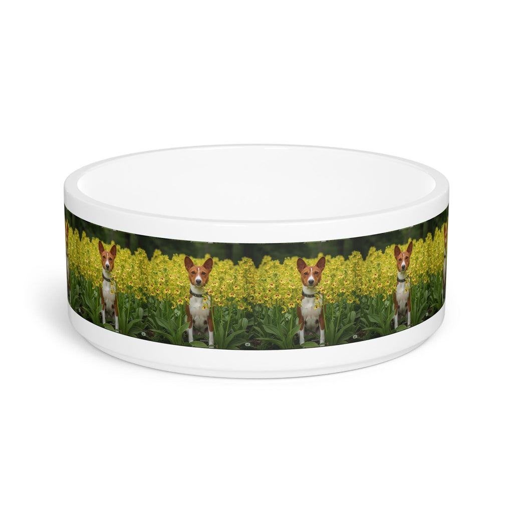 Ceramic Pet Bowl – 16 oz Dog Feeding Bowl
