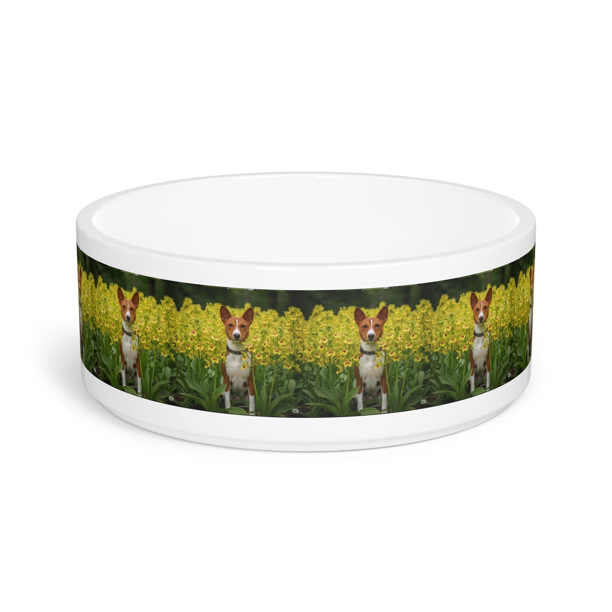Ceramic Pet Bowl – 16 oz Dog Feeding Bowl