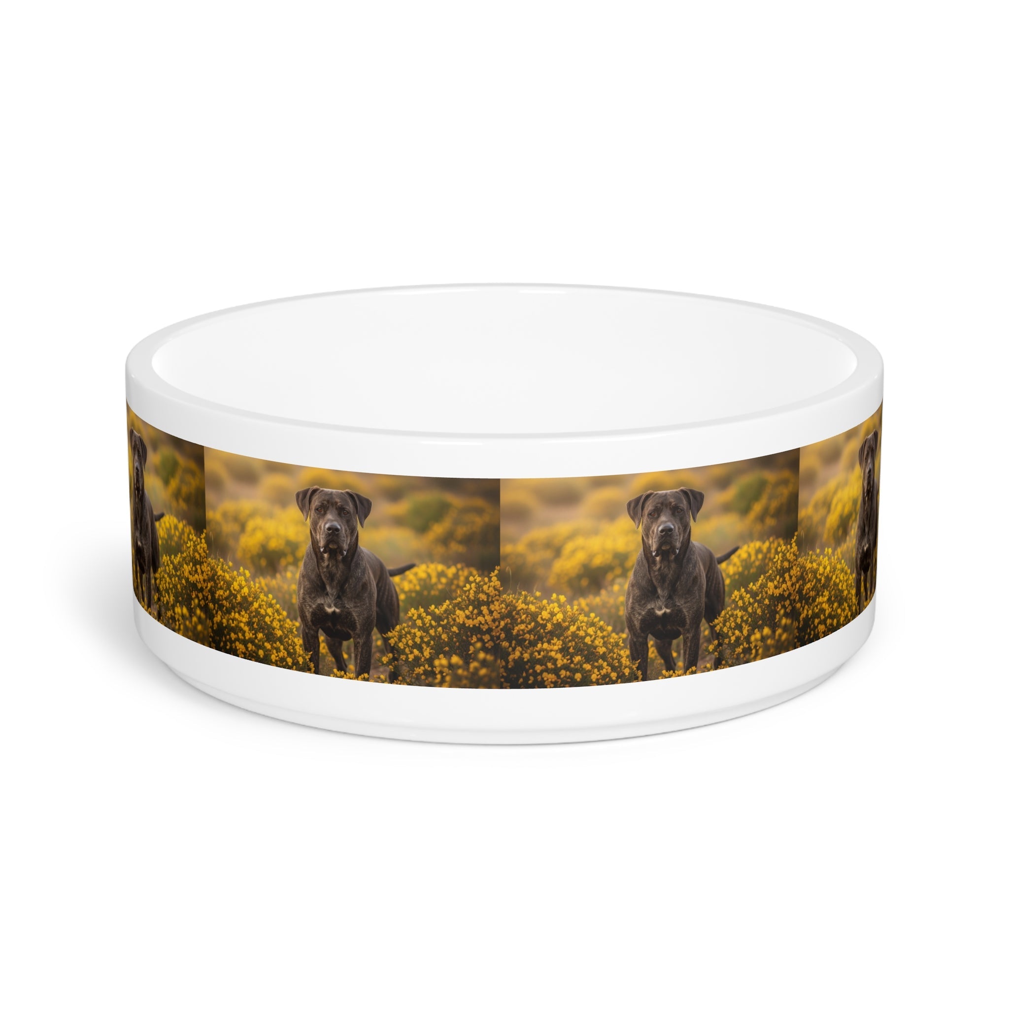 Ceramic Pet Bowl – 16 oz Dog Feeding Bowl