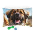 Pet Bed – Plush Dog Bed, 3 Size Options