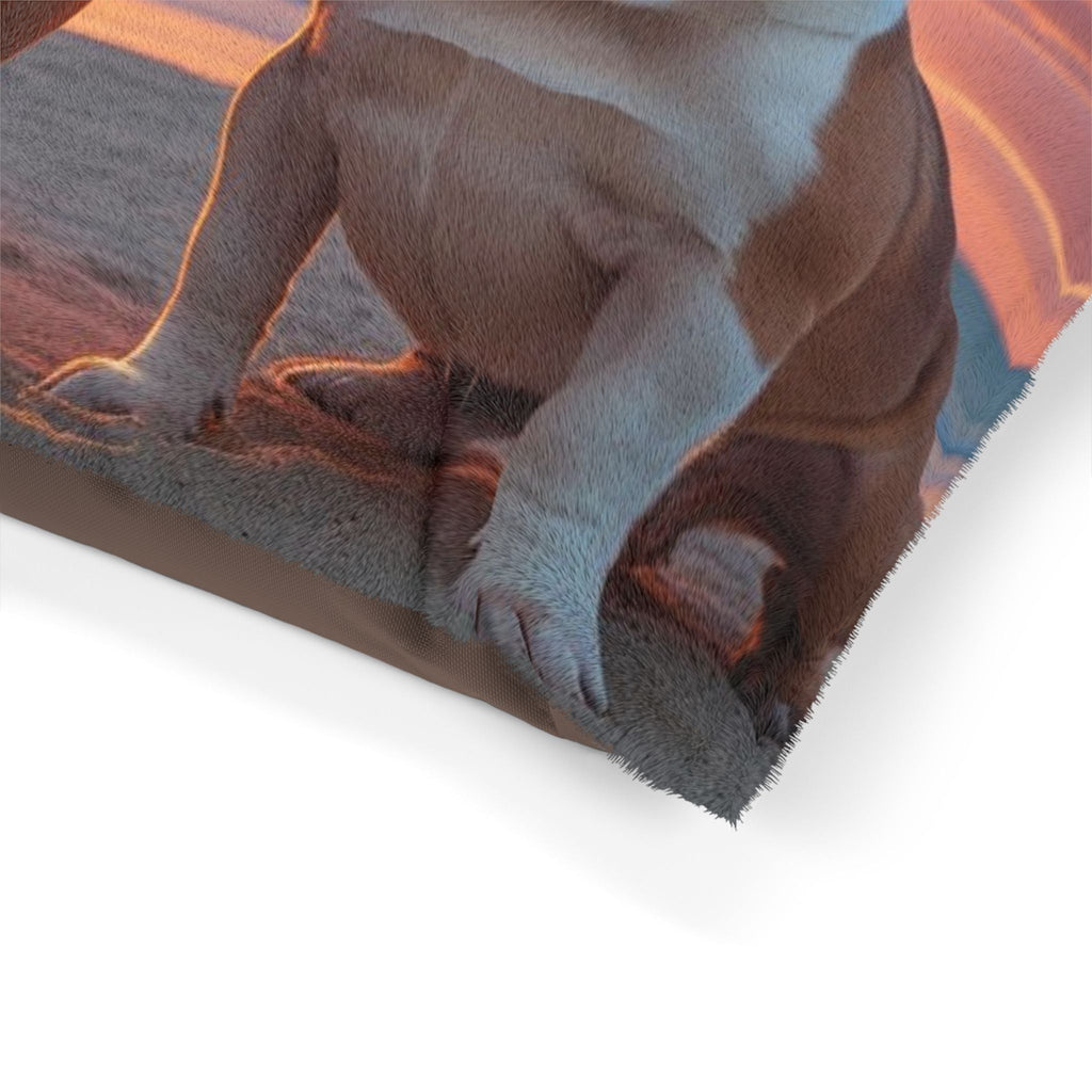 Pet Bed – Plush Dog Bed, 3 Size Options