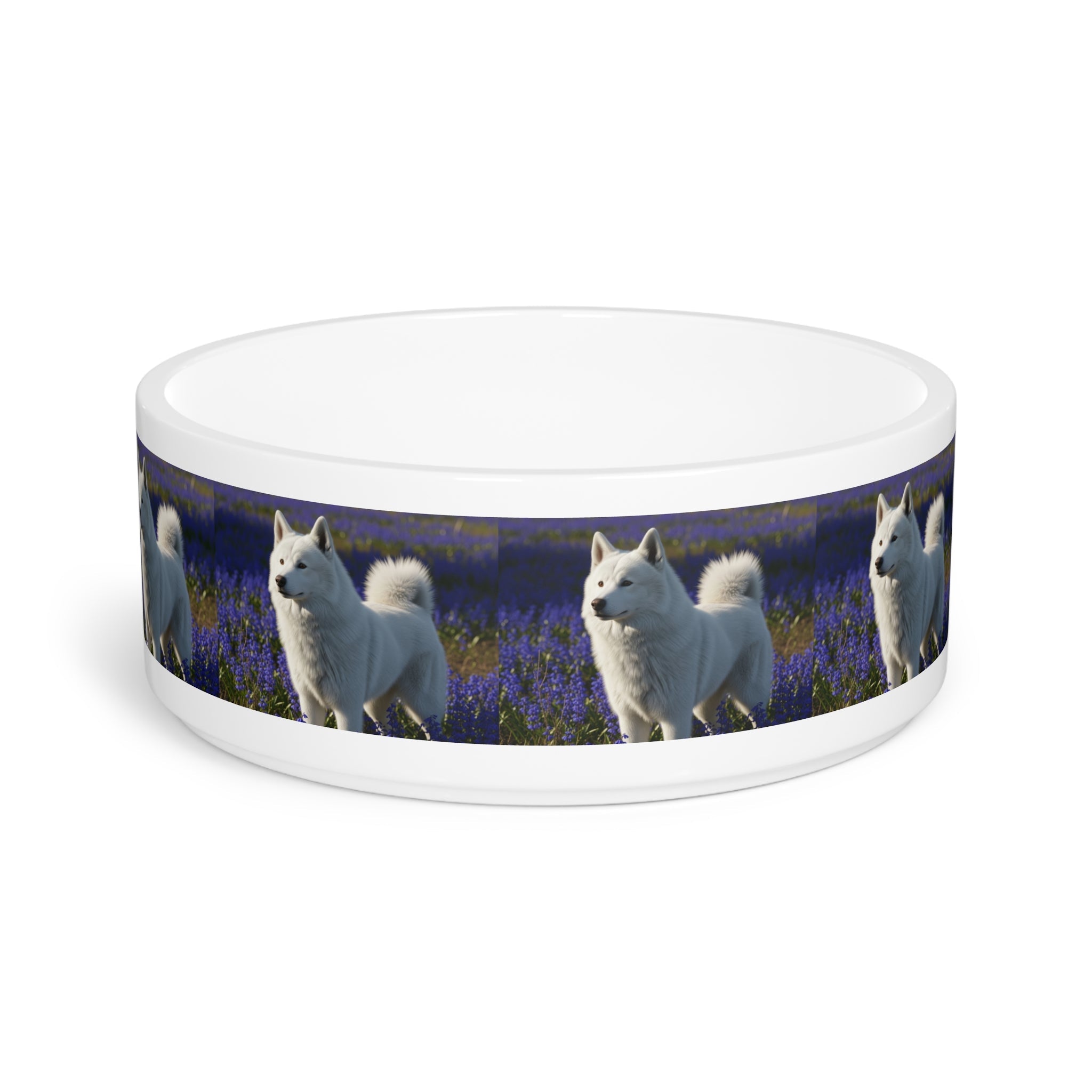 Ceramic Pet Bowl – 16 oz Dog Feeding Bowl