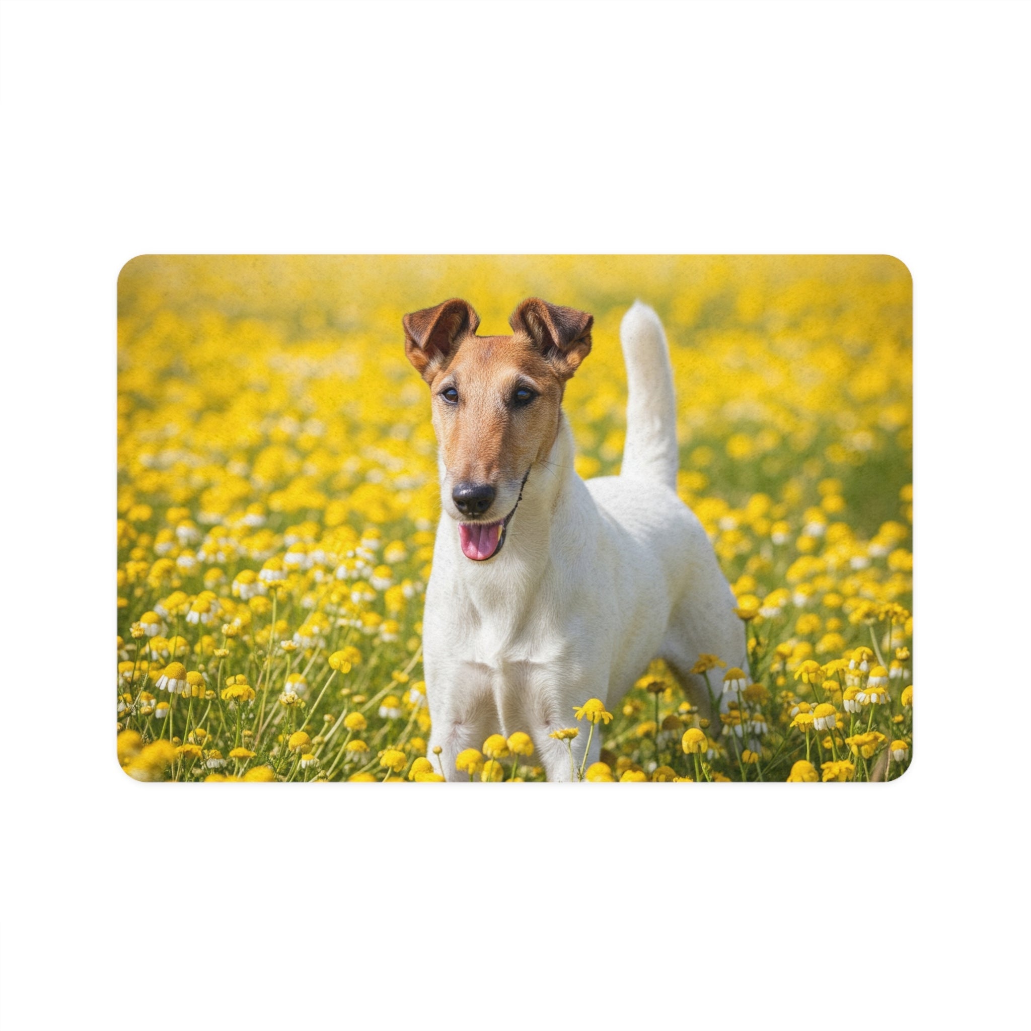 Non-Slip Pet Food Mat – Waterproof Feeding Mat for Dogs