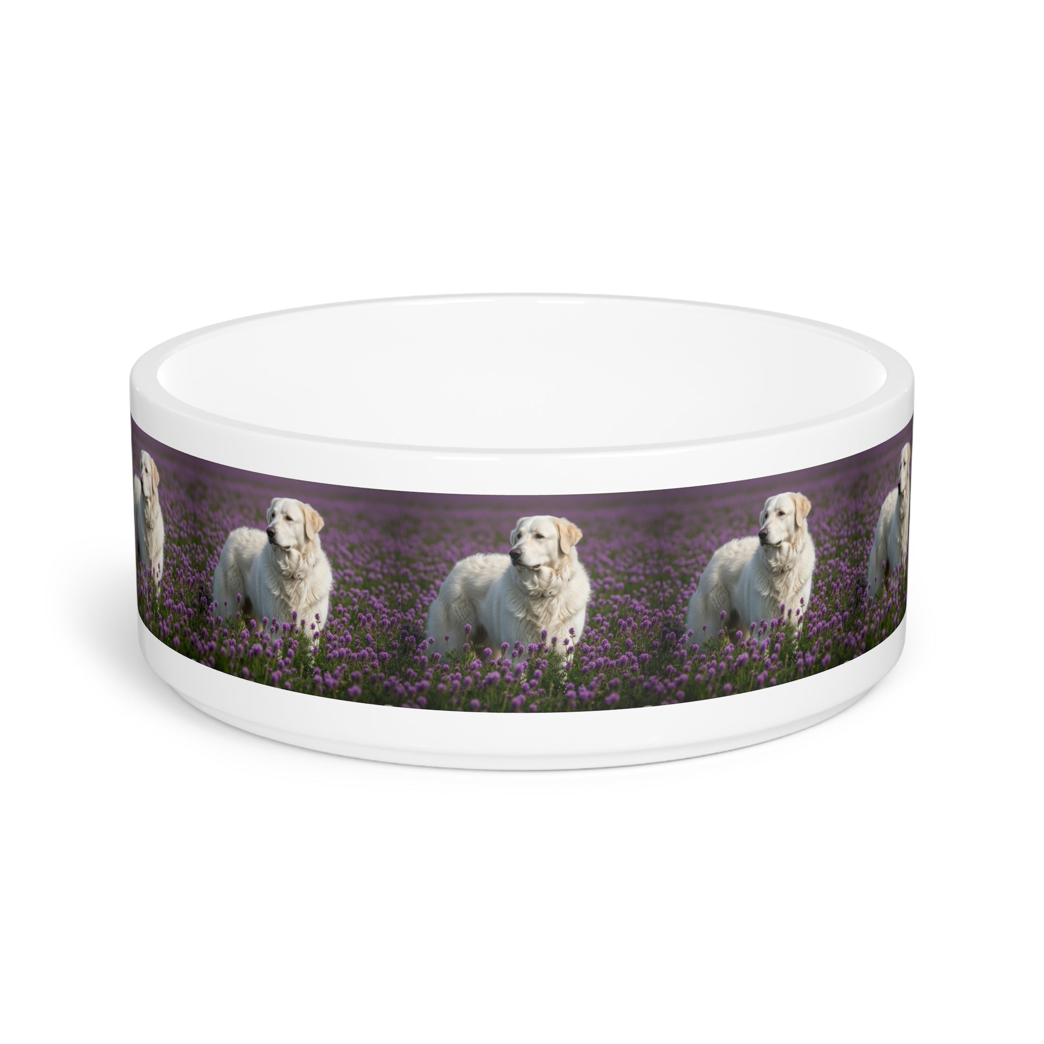 Ceramic Pet Bowl – 16 oz Dog Feeding Bowl