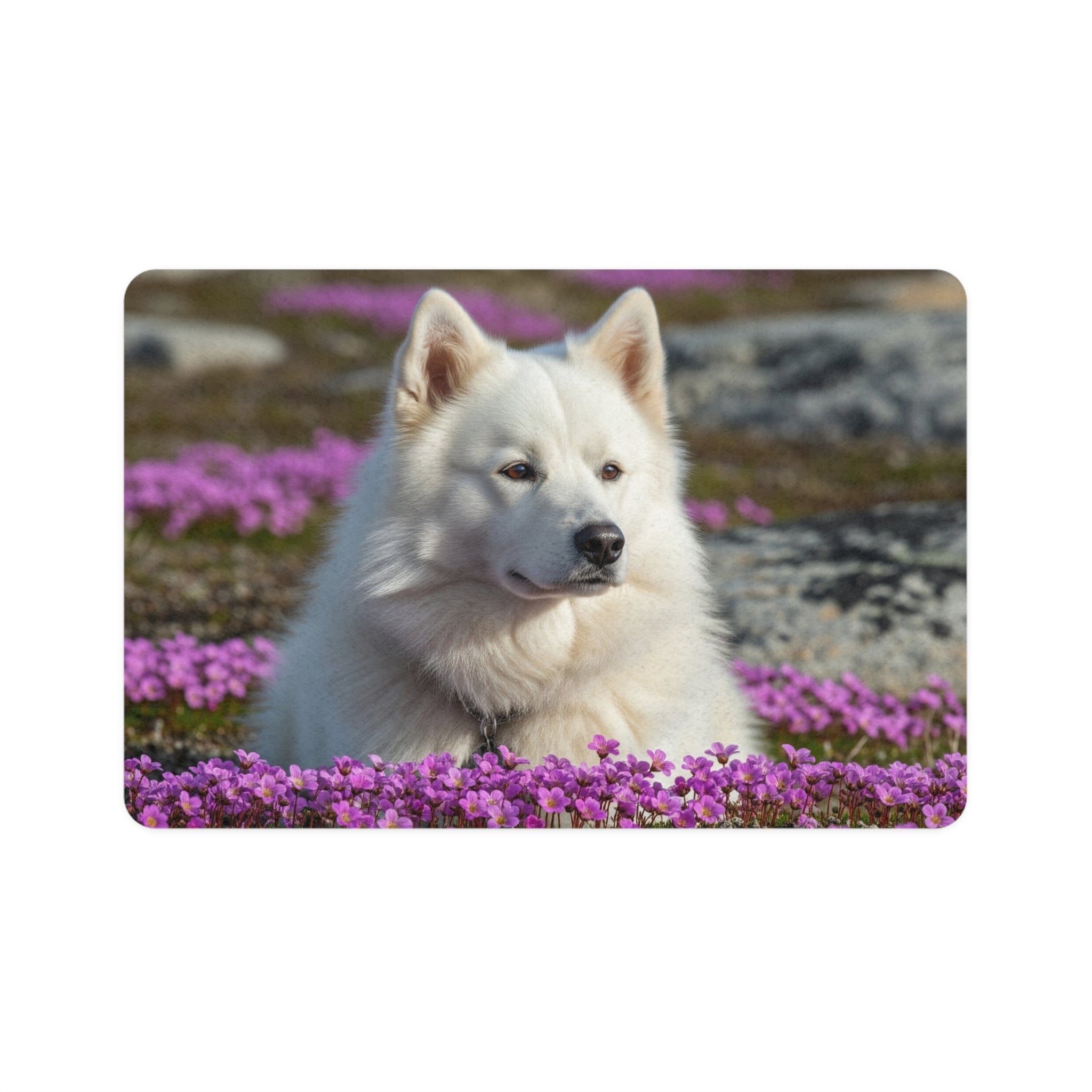 Non-Slip Pet Food Mat – Waterproof Feeding Mat for Dogs