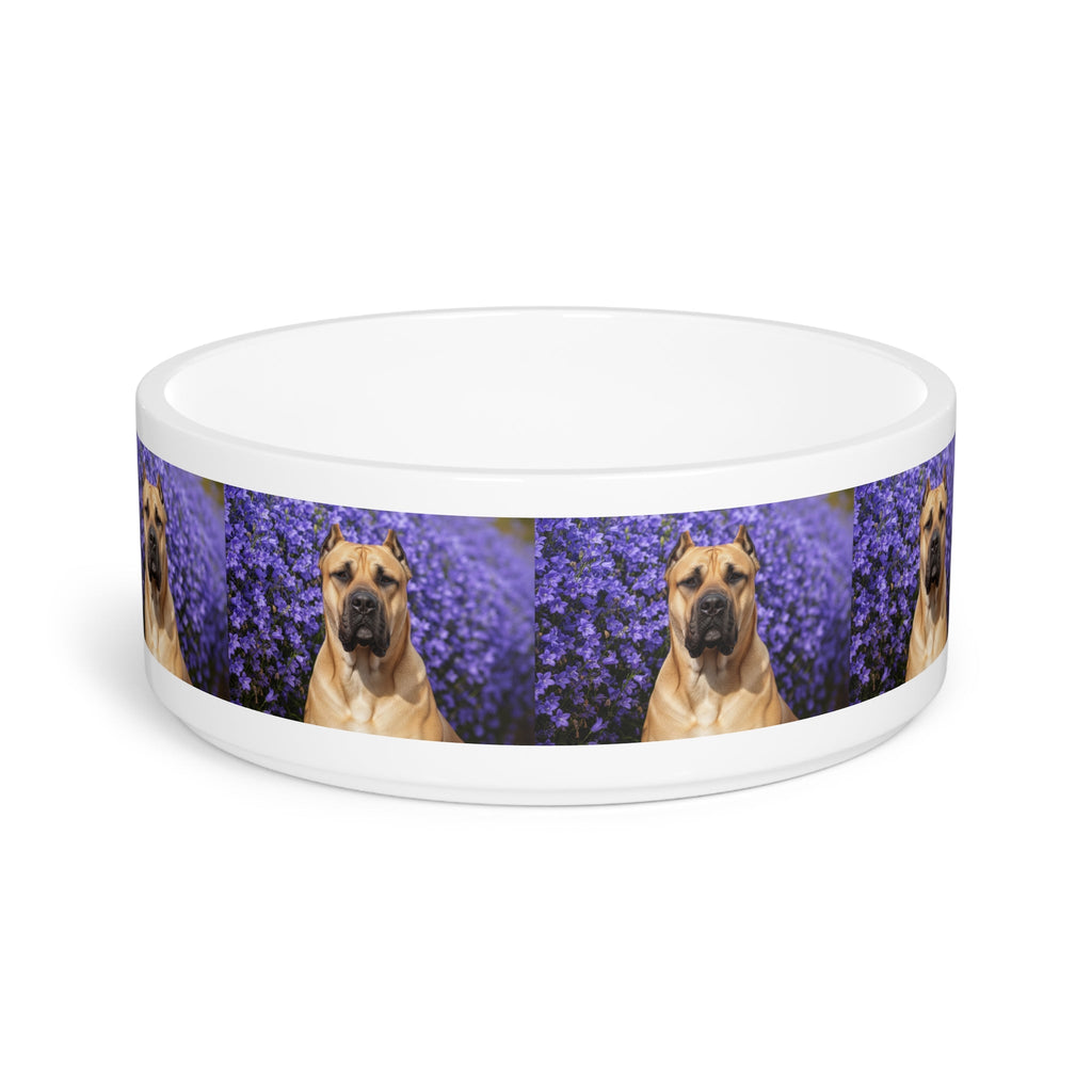 Ceramic Pet Bowl – 16 oz Dog Feeding Bowl
