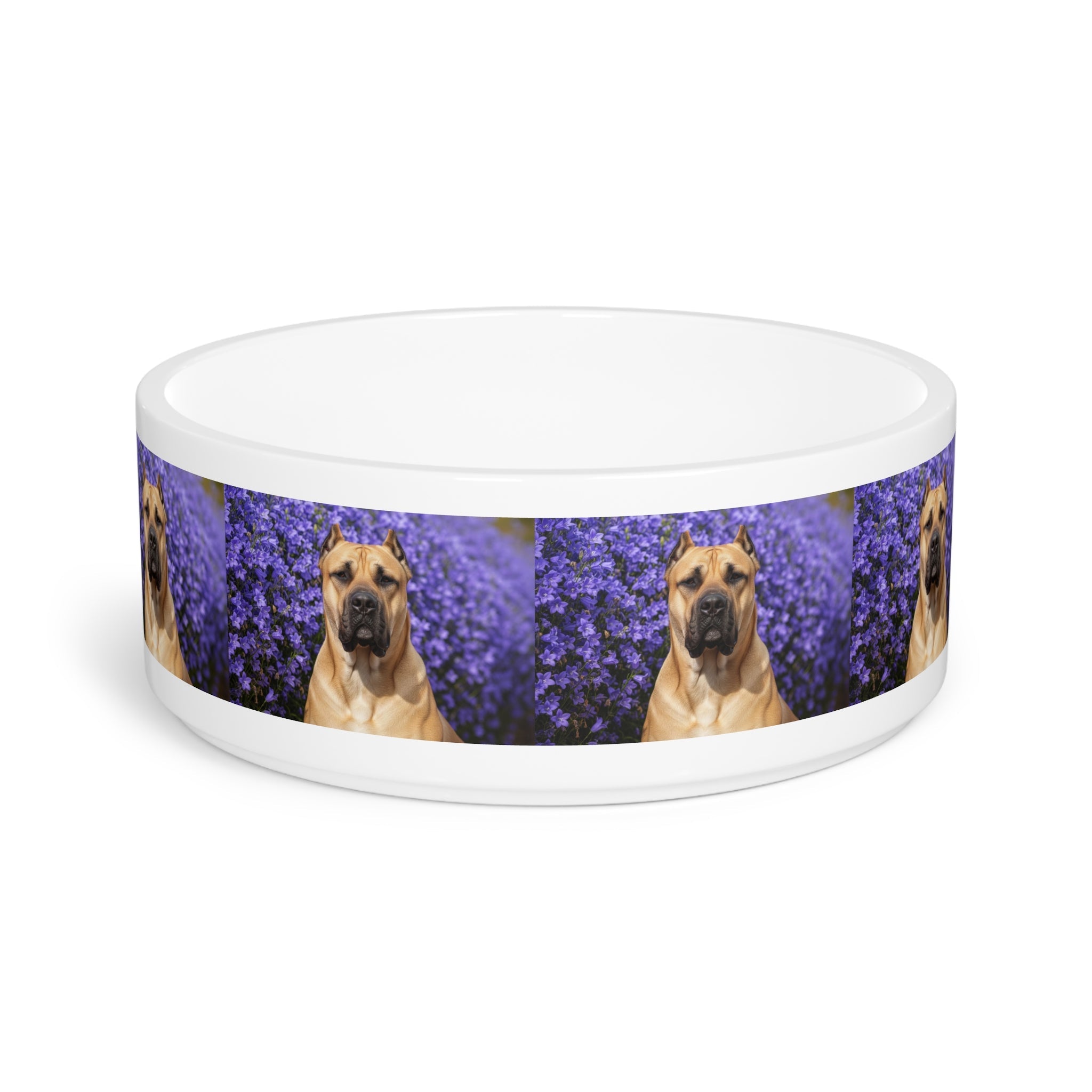 Ceramic Pet Bowl – 16 oz Dog Feeding Bowl
