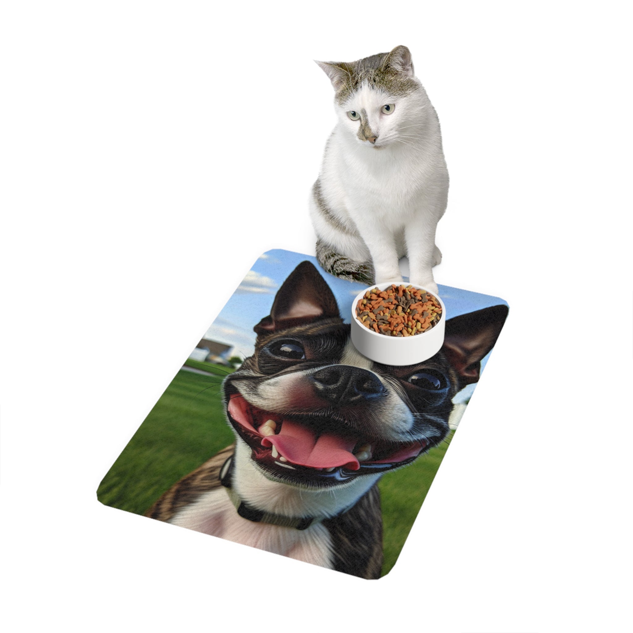 Non-Slip Pet Food Mat – Waterproof Feeding Mat for Dogs